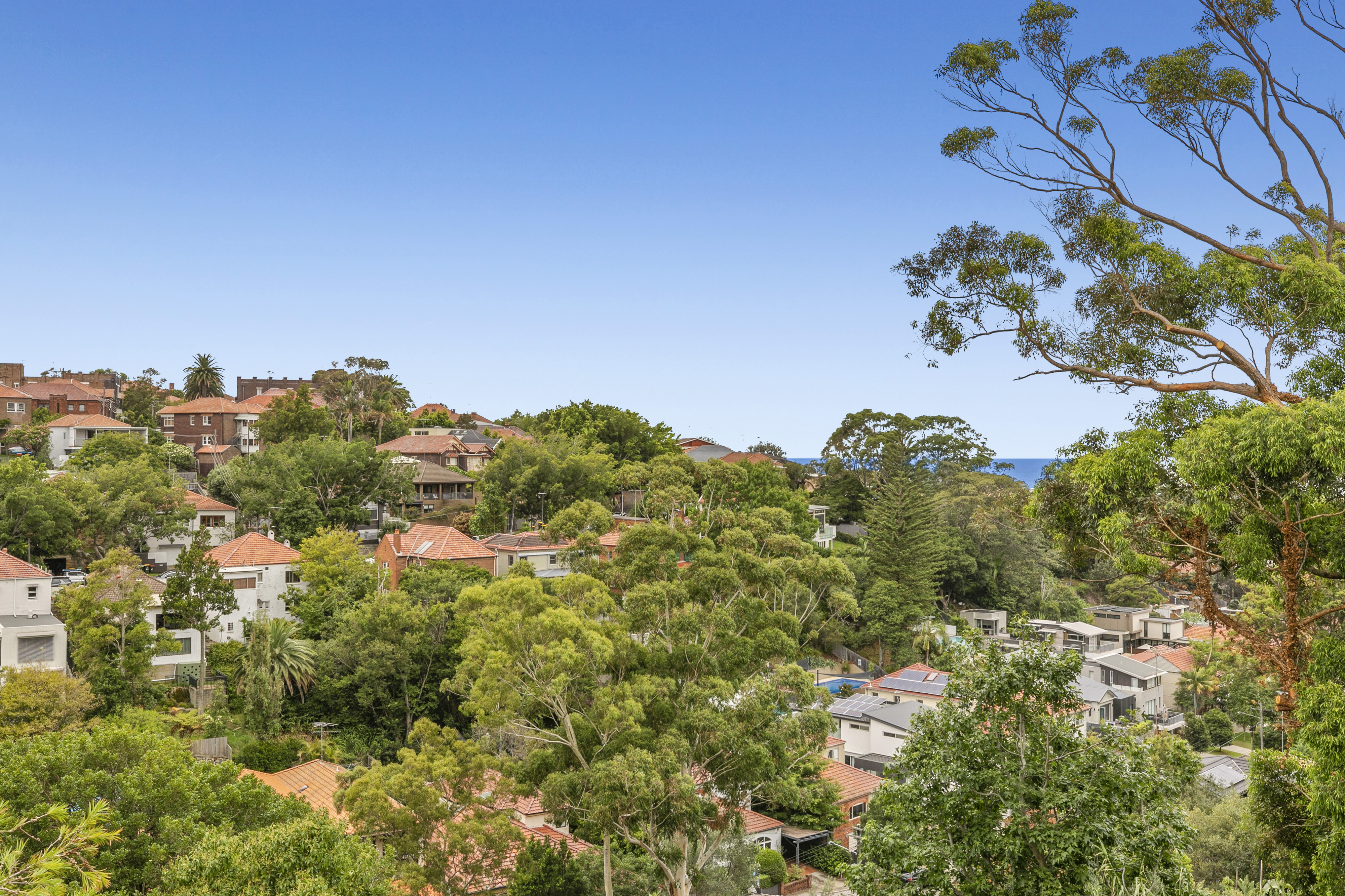 4/127 Carrington Road, Coogee, NSW, 2034, Coogee - Thumbnail 4