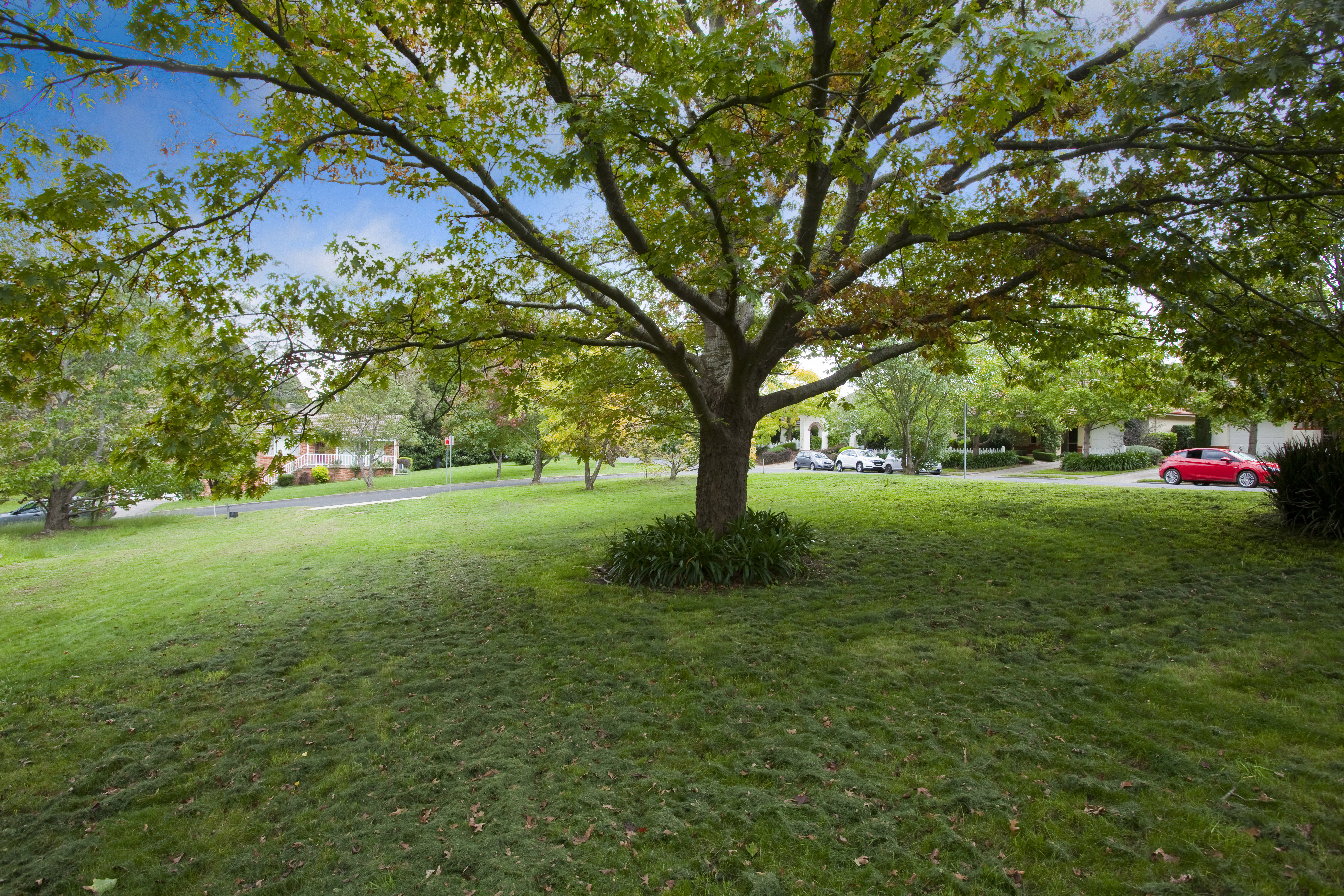 Address available on request, Bowral, NSW, 2576, Bowral - Thumbnail 7