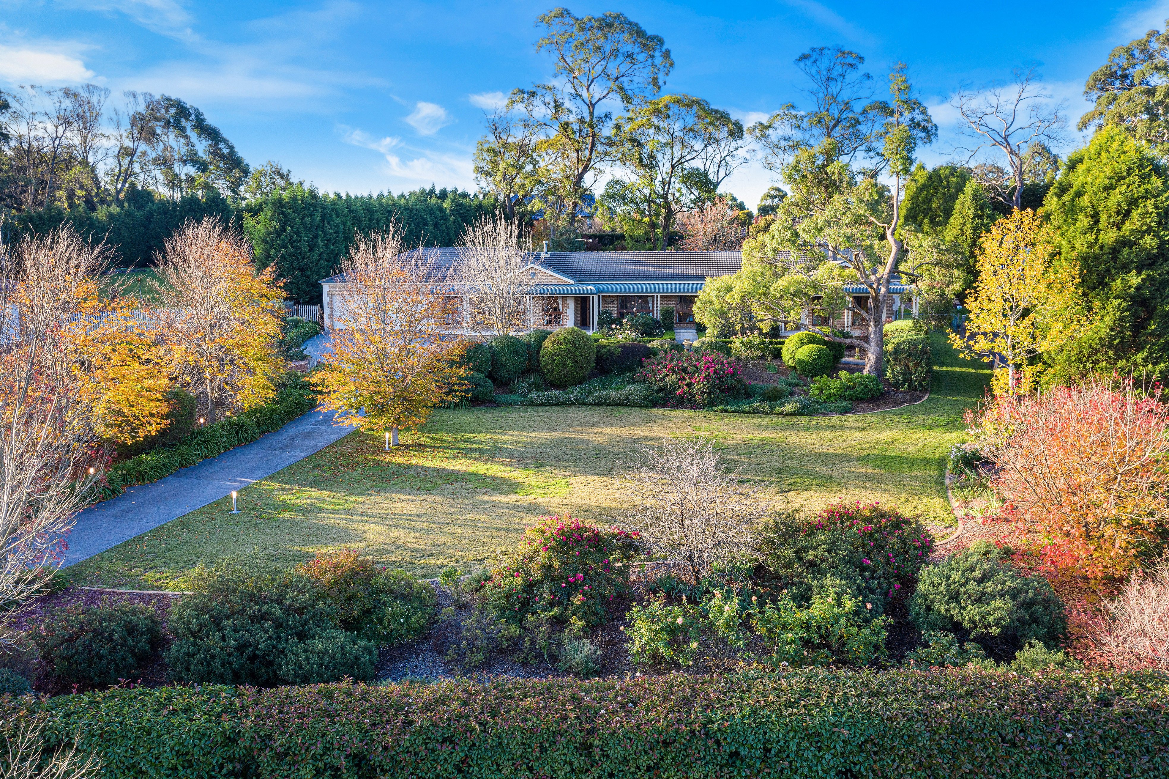 42 Highland Drive, Bowral, NSW, 2576, Bowral - Thumbnail 5