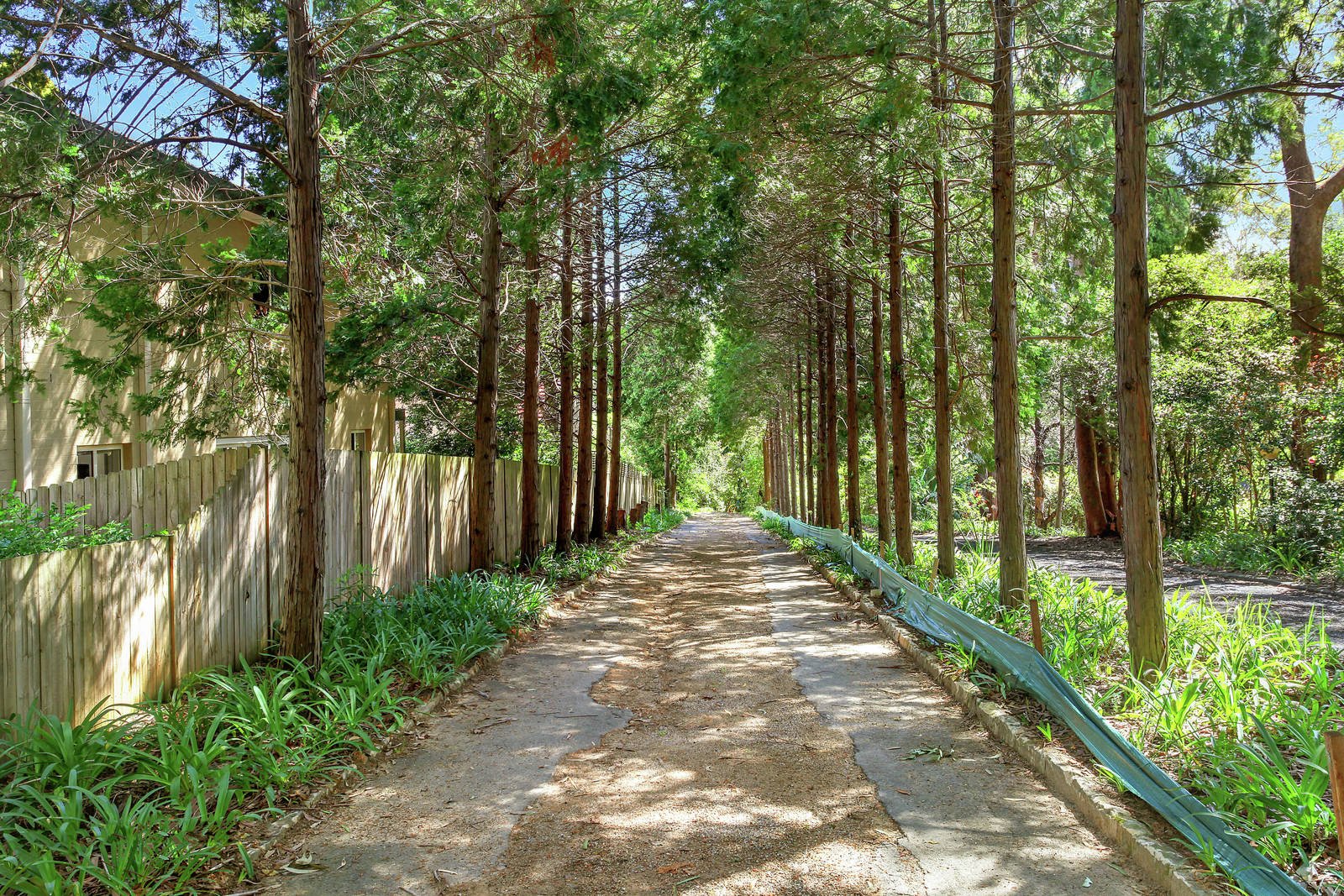 65A Roland Avenue, Wahroonga, NSW, 2076, Wahroonga - Thumbnail 3