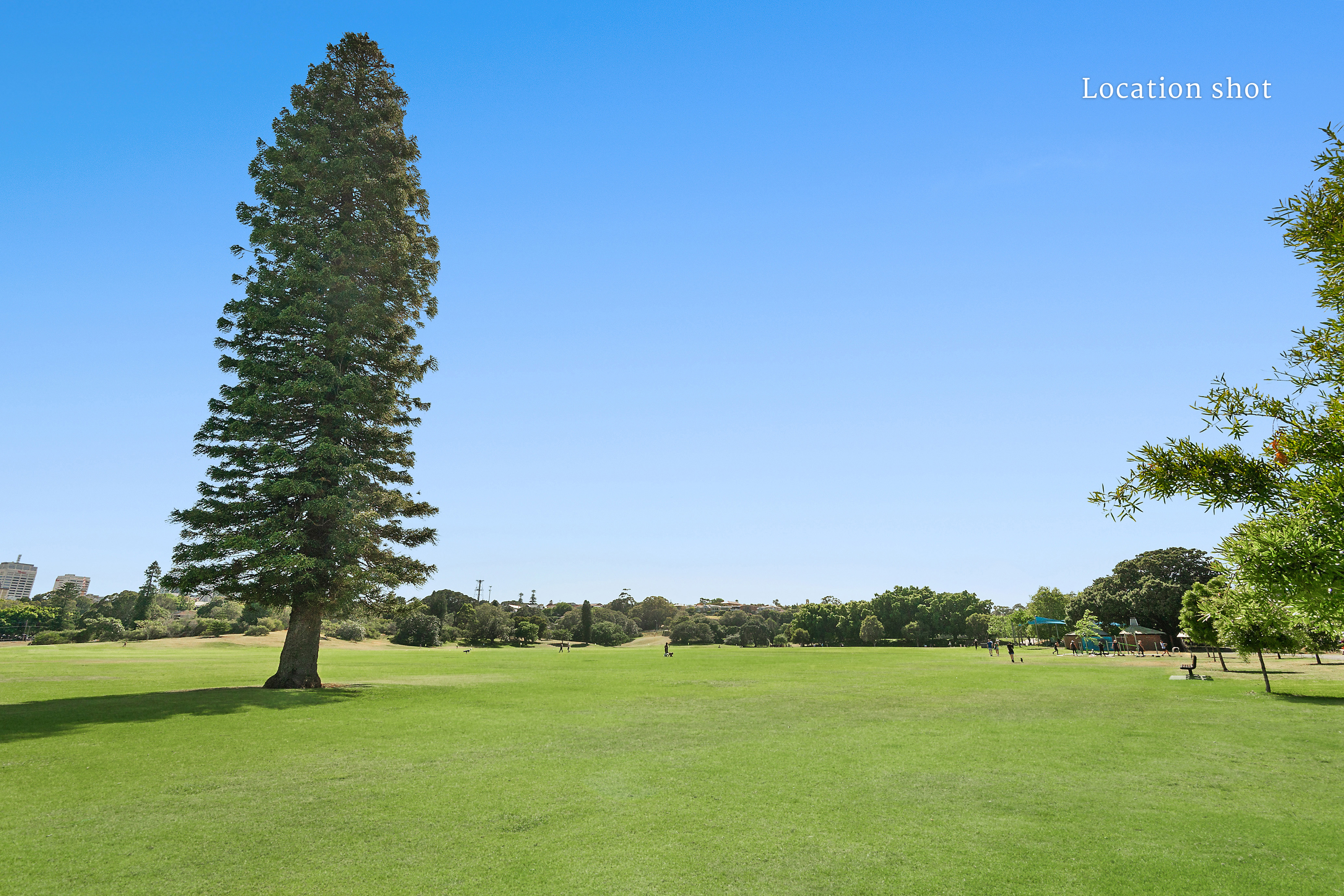 8/23 Pine Street, Randwick, NSW, 2031, Randwick - Thumbnail 8