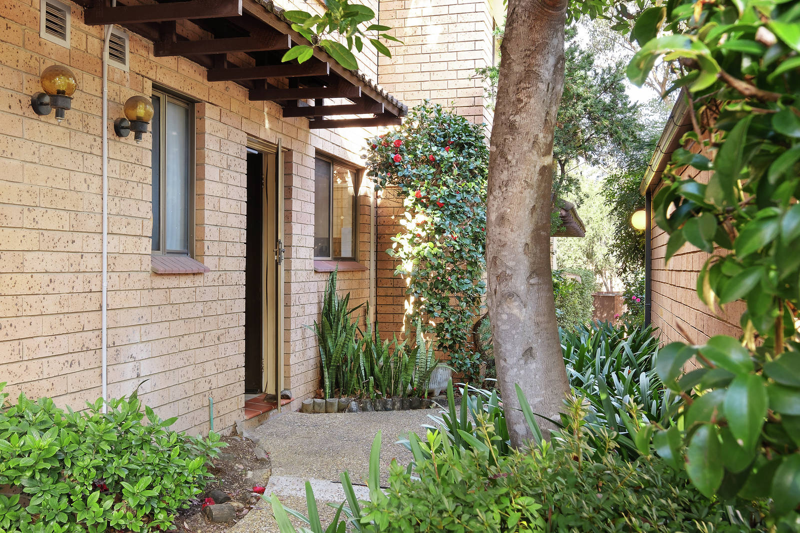 45/25 Taranto Road, Marsfield, NSW, 2122, Marsfield - Thumbnail 8