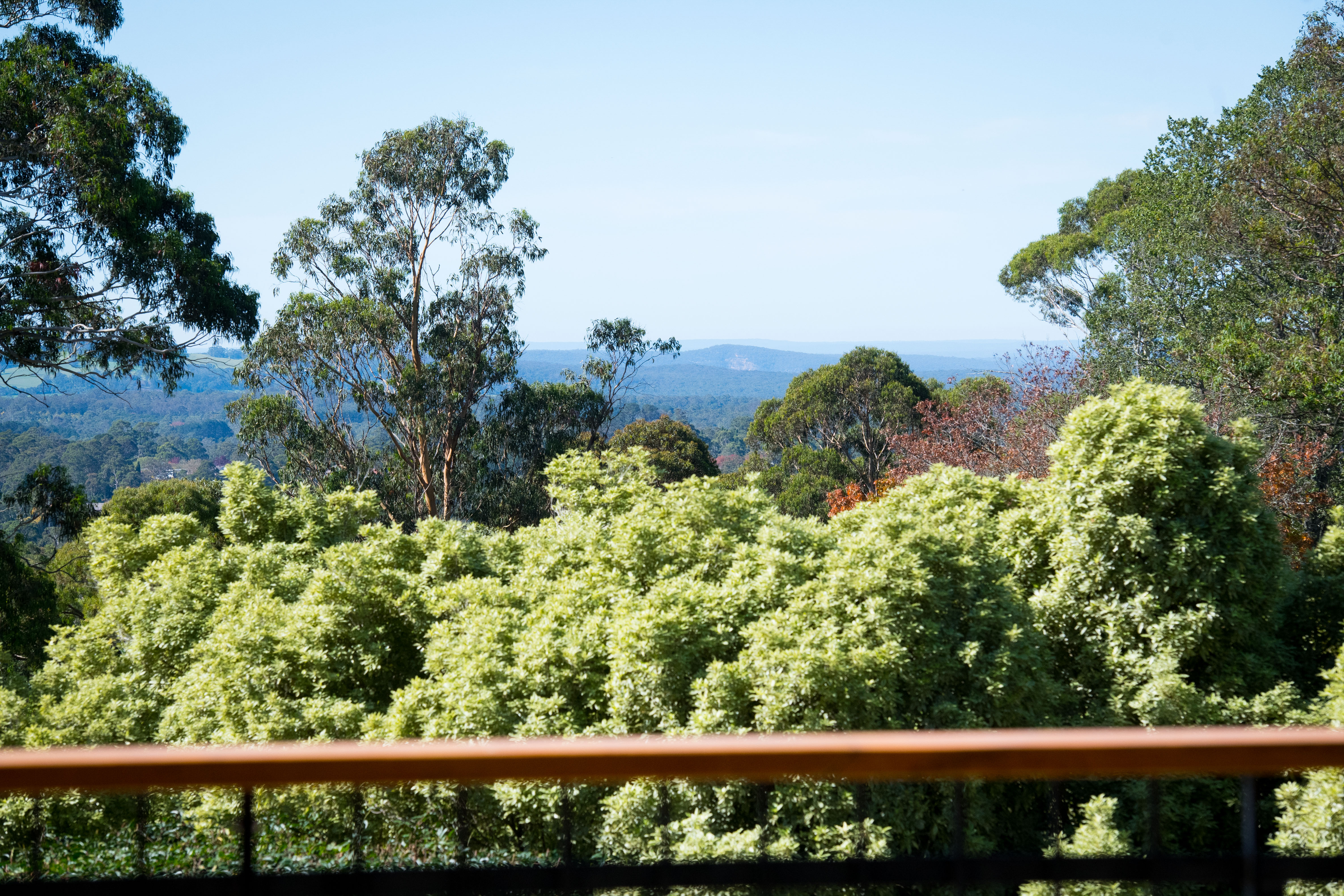 8 Acacia Street, Mittagong, NSW, 2575, Mittagong - Thumbnail 7