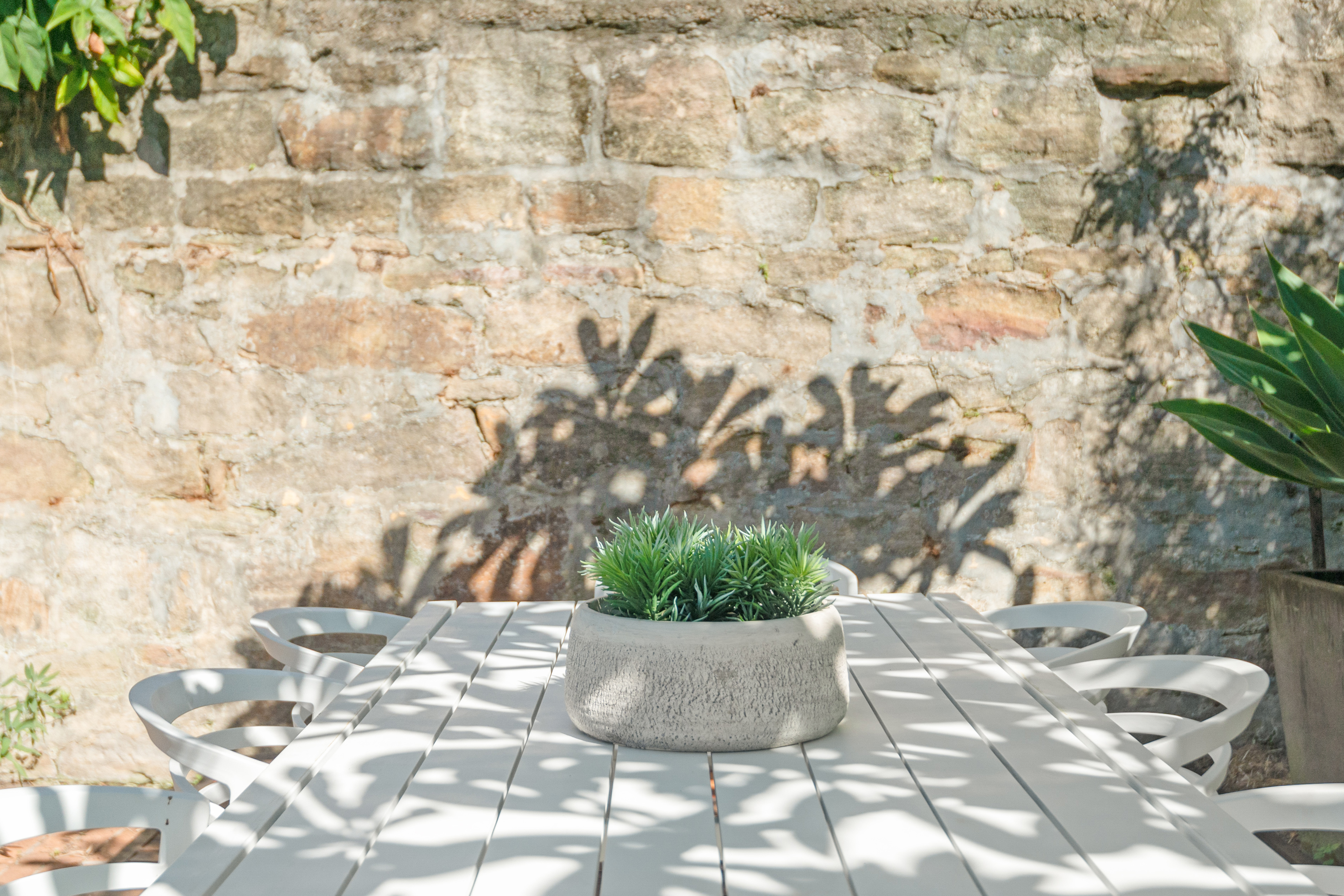 5 Harris Street, Paddington, NSW, 2021, Paddington - Thumbnail 6