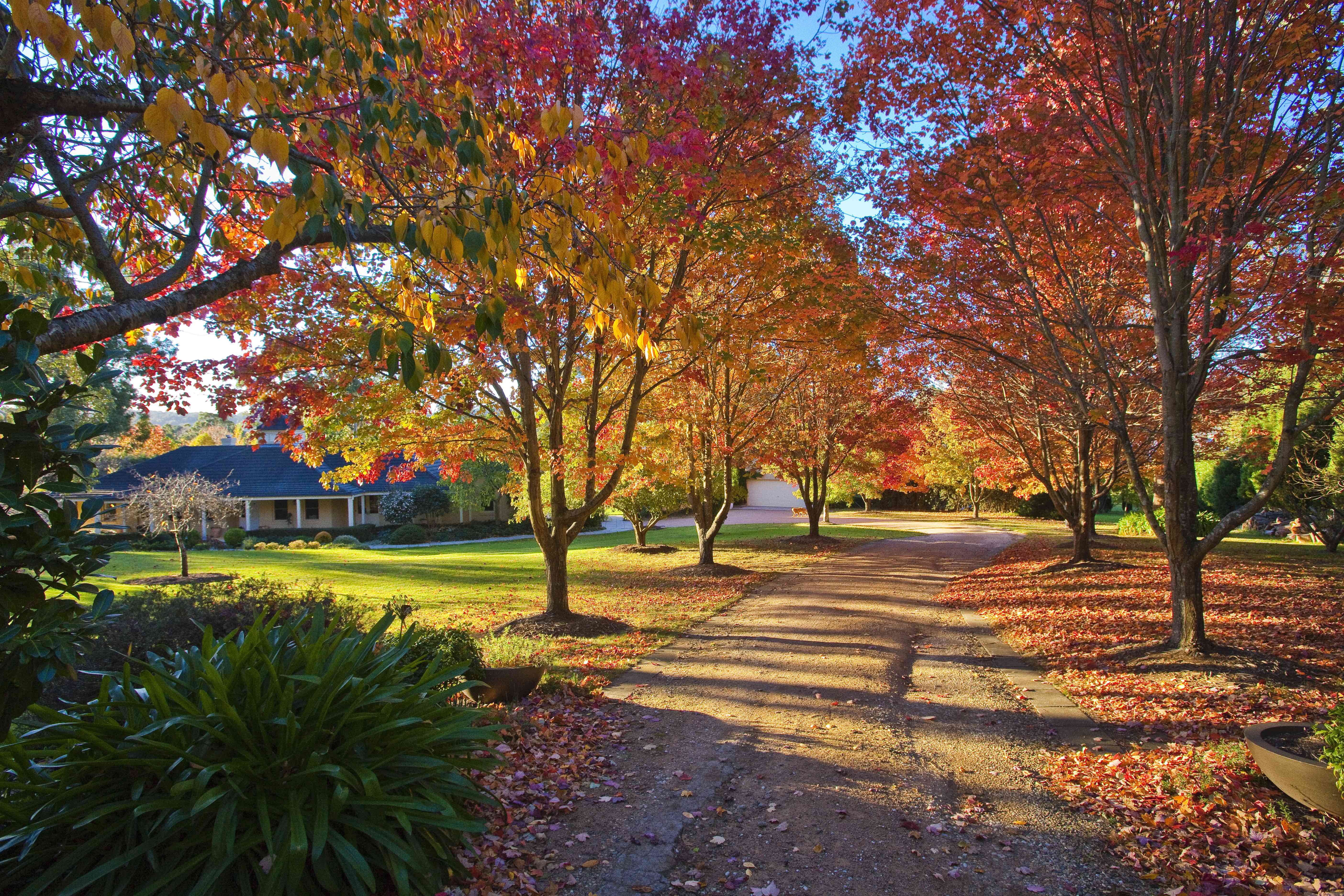 8 Harley Street, Bowral, NSW, 2576, Bowral - Thumbnail 2