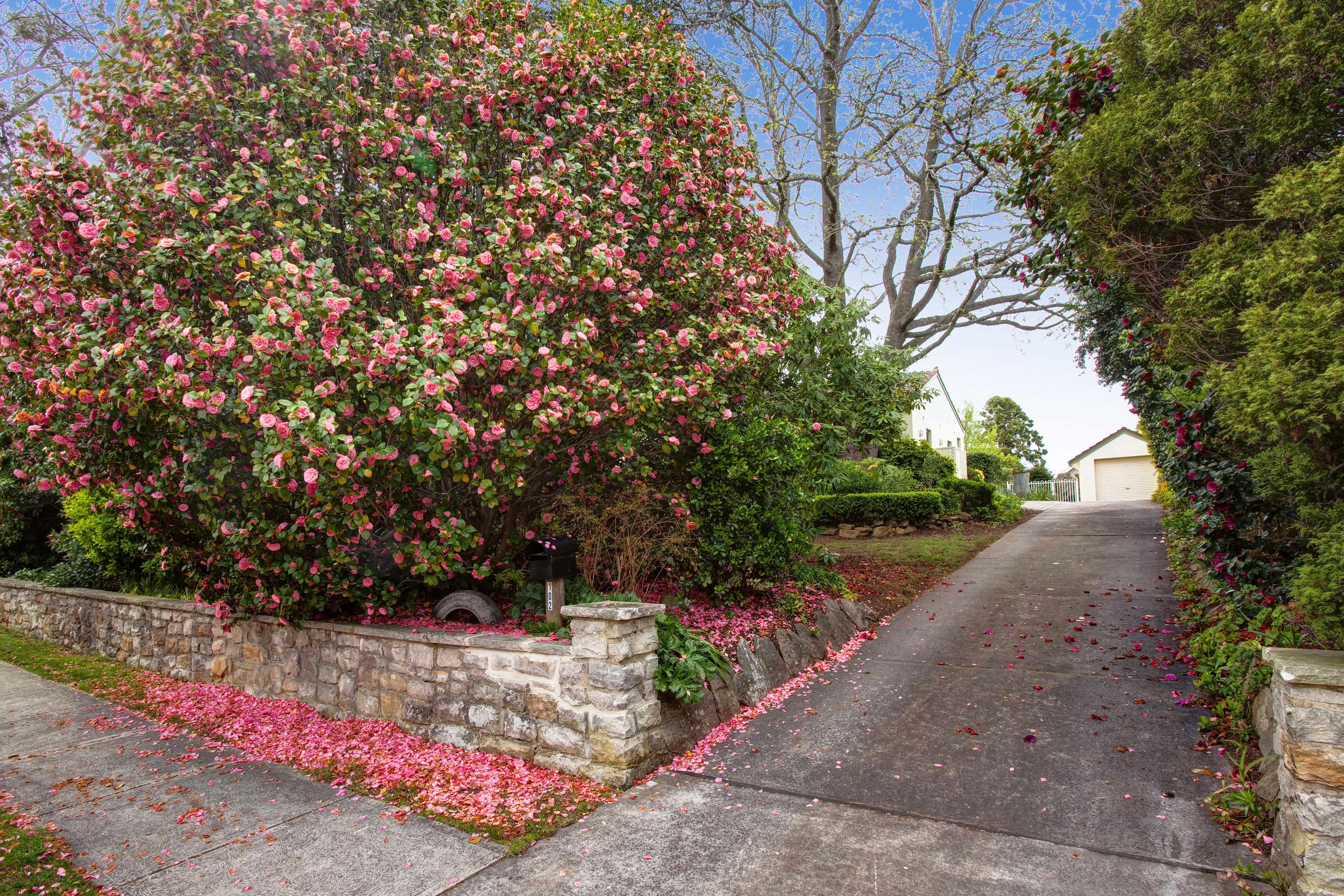 102 Bowral Street, Bowral, NSW, 2576, Bowral - Thumbnail 2