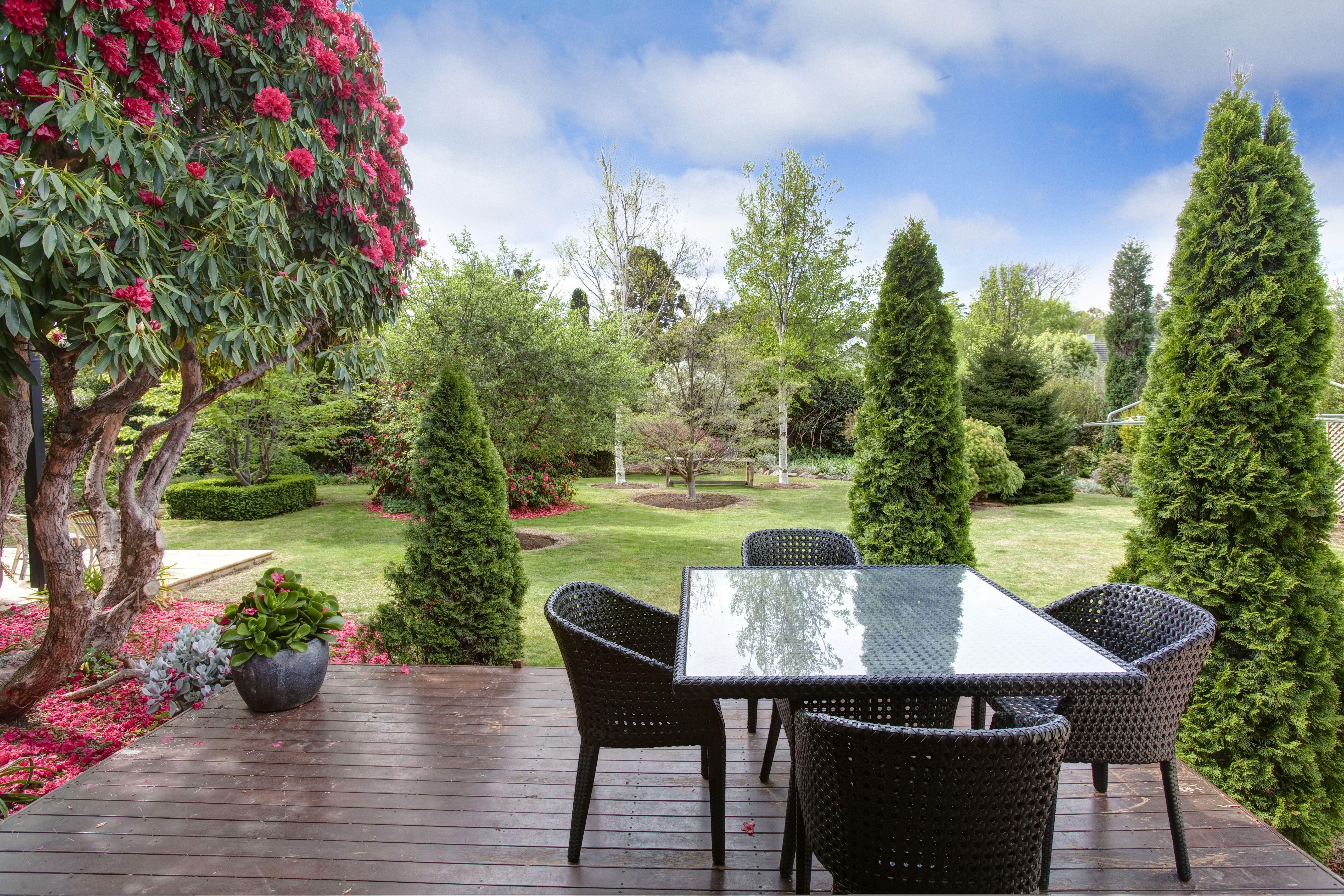 102 Bowral Street, Bowral, NSW, 2576, Bowral - Thumbnail 3