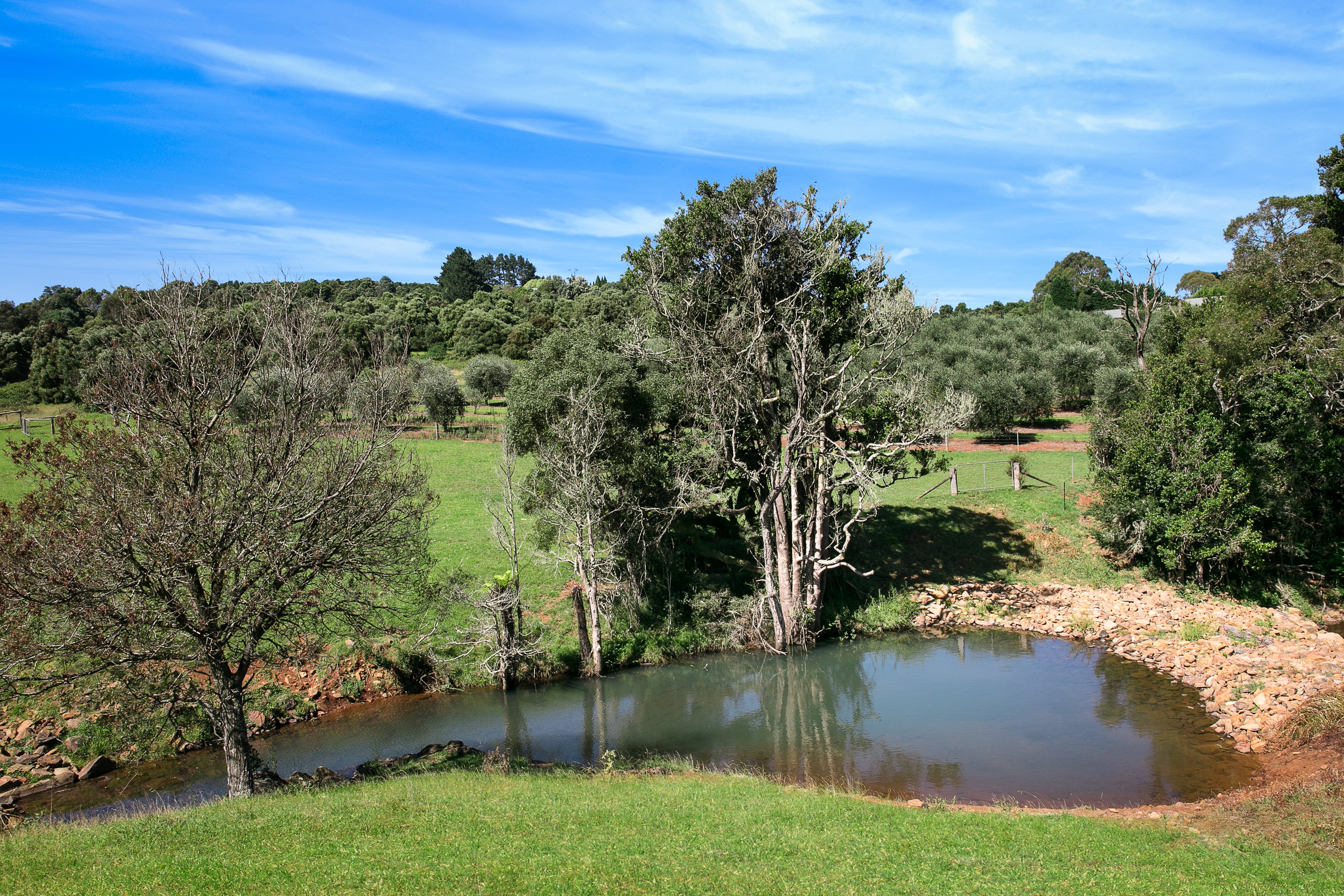 27 Lemmons Road, Robertson, NSW, 2577, Robertson - Thumbnail 8