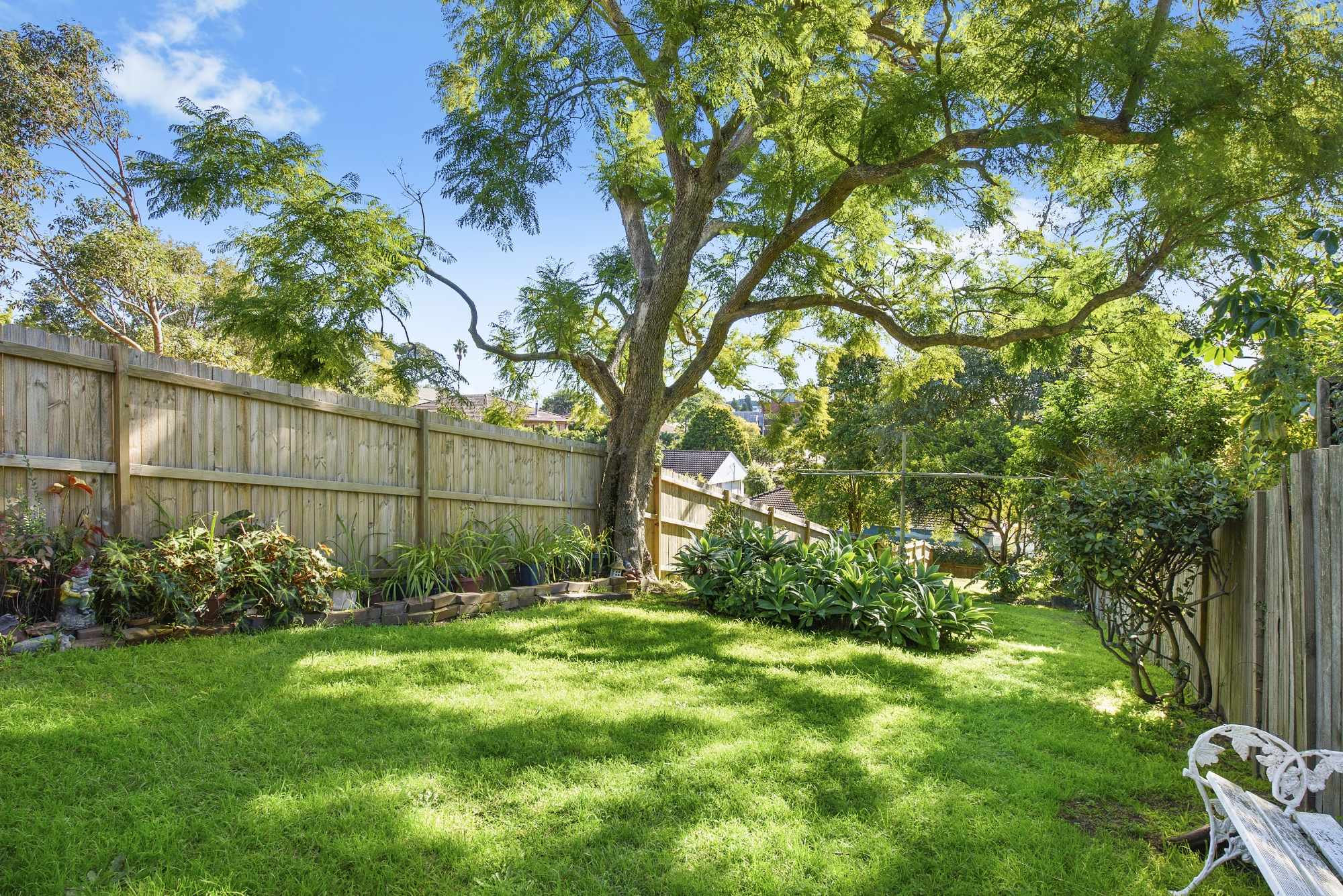 11 Chaleyer Street, Willoughby, NSW, 2068, North Willoughby - Thumbnail 2