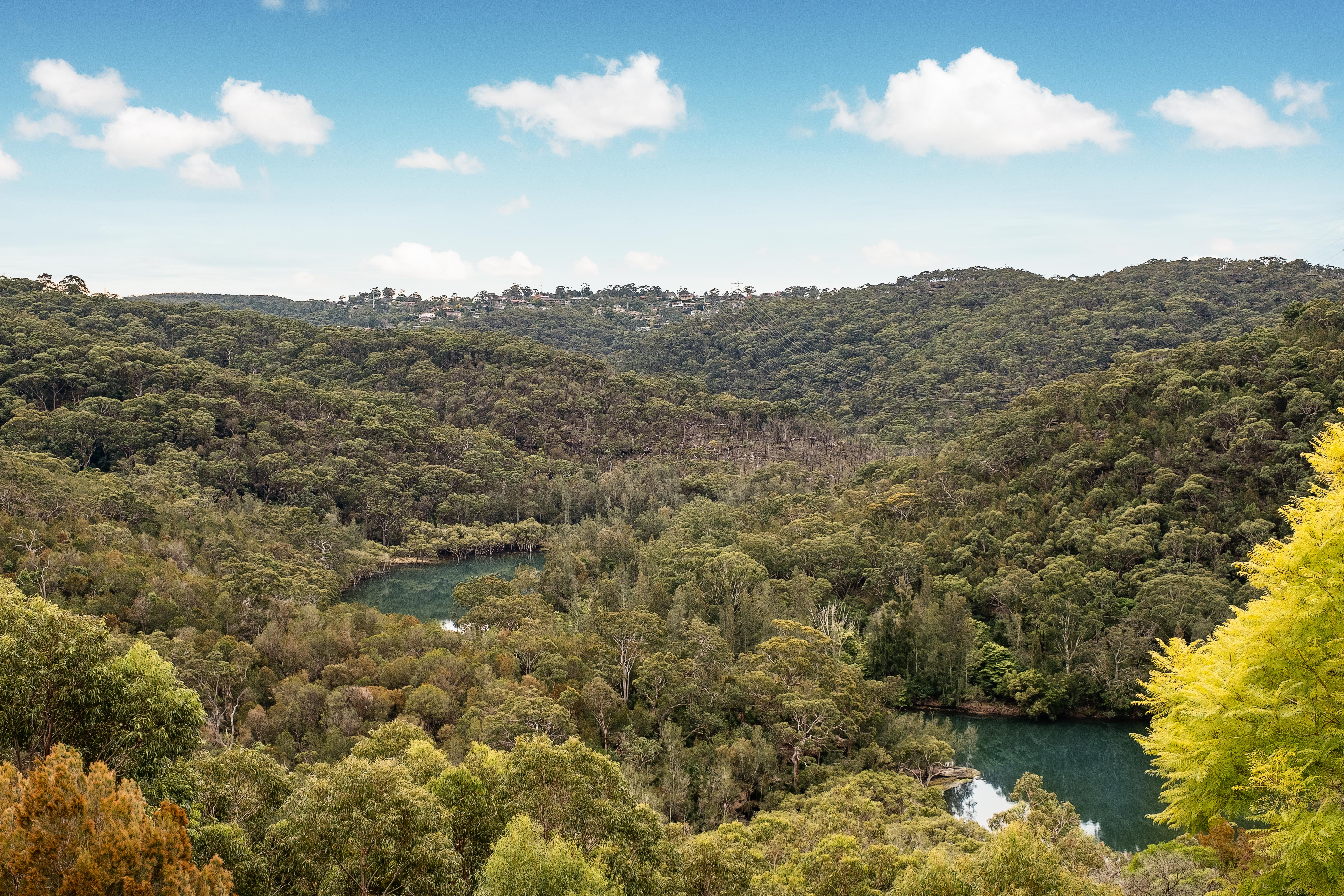 11 Ailsa Close, East Lindfield, NSW, 2070, East Lindfield - Thumbnail 3