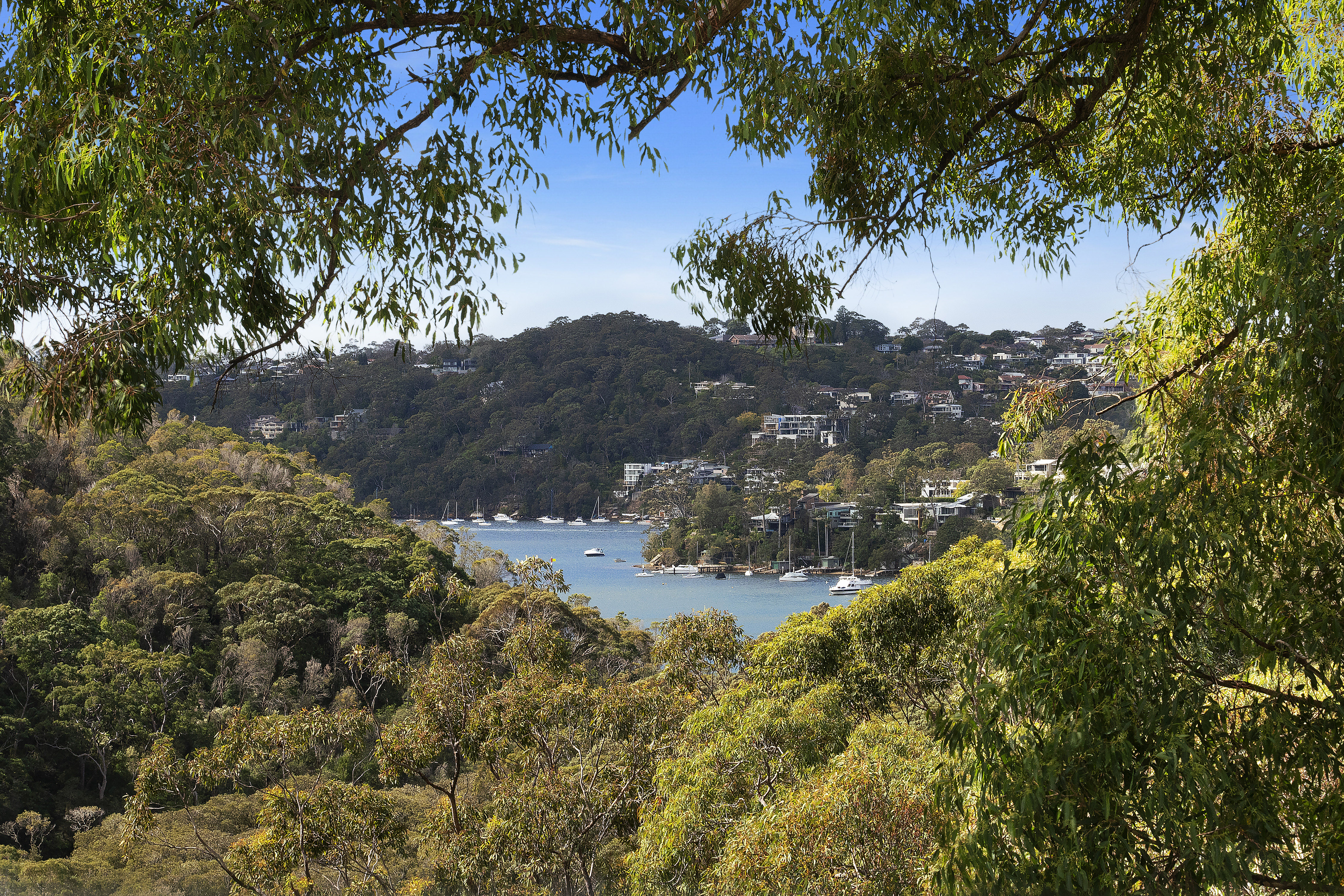 74 Sugarloaf Crescent, Castlecrag, NSW, 2068, Castlecrag - Thumbnail 3