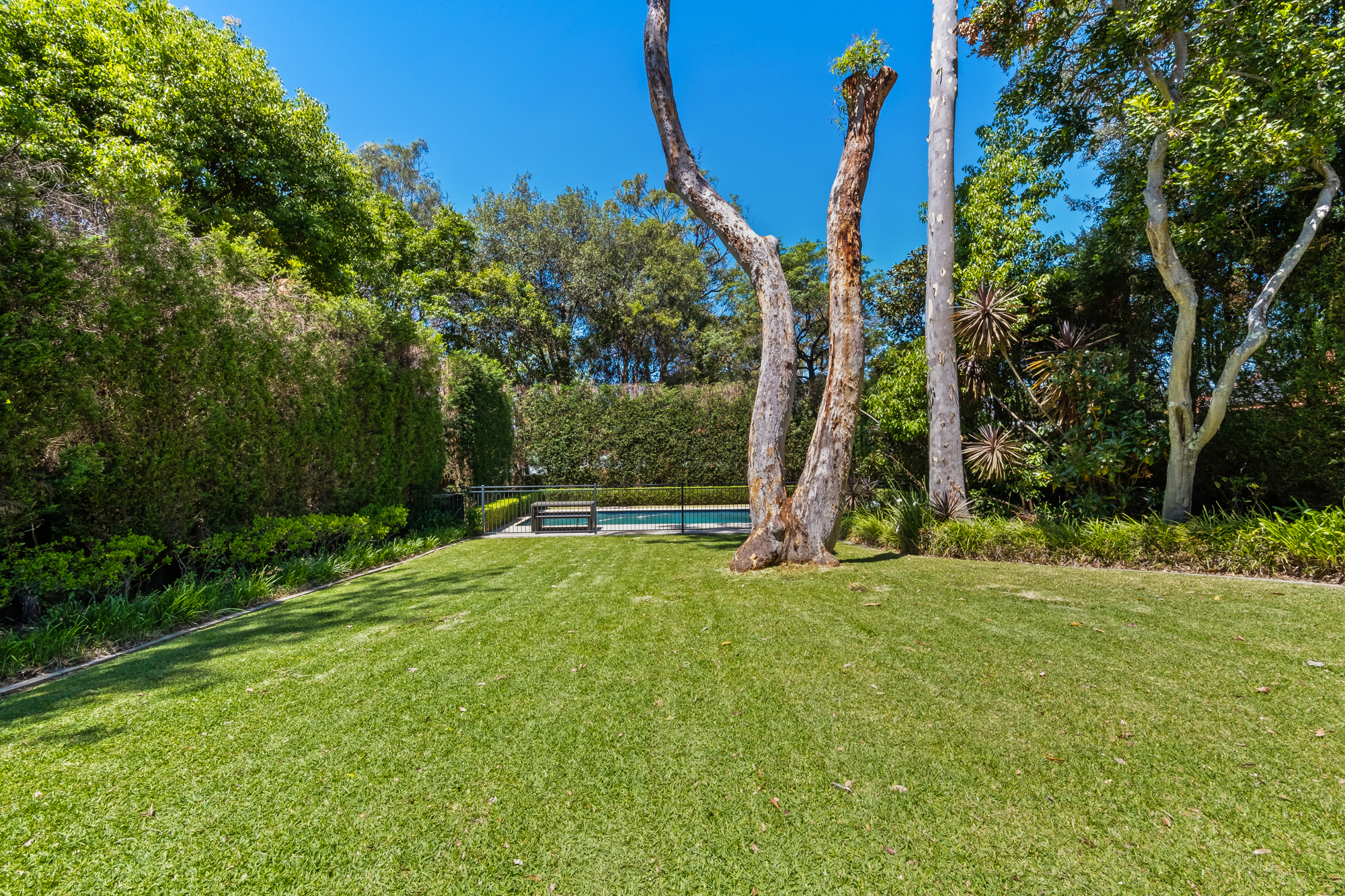 65 Chelmsford Avenue, East Lindfield, NSW, 2070, East Lindfield - Thumbnail 8