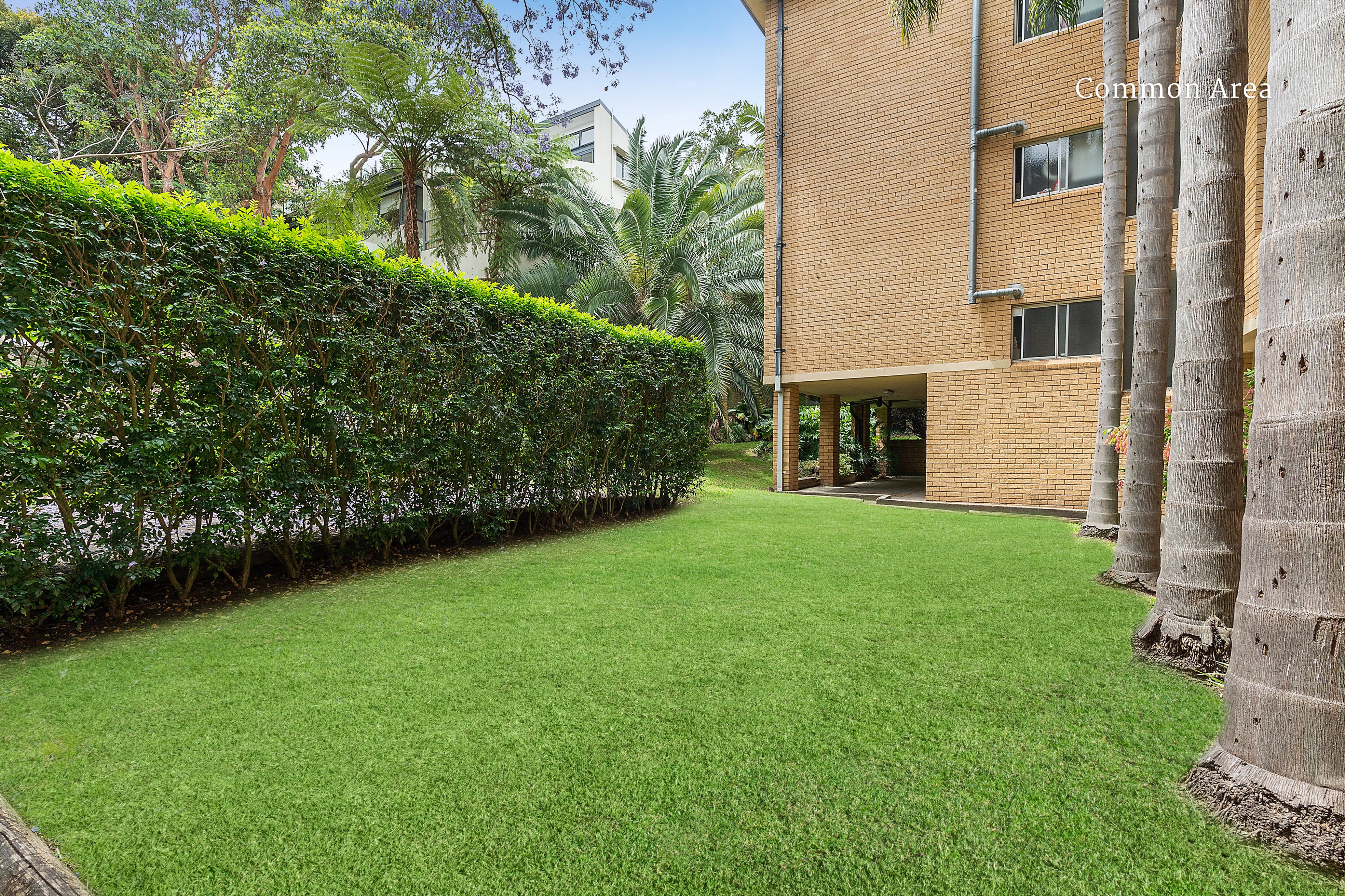 3/82 Undercliff Street, Neutral Bay, NSW, 2089, Neutral Bay - Thumbnail 7
