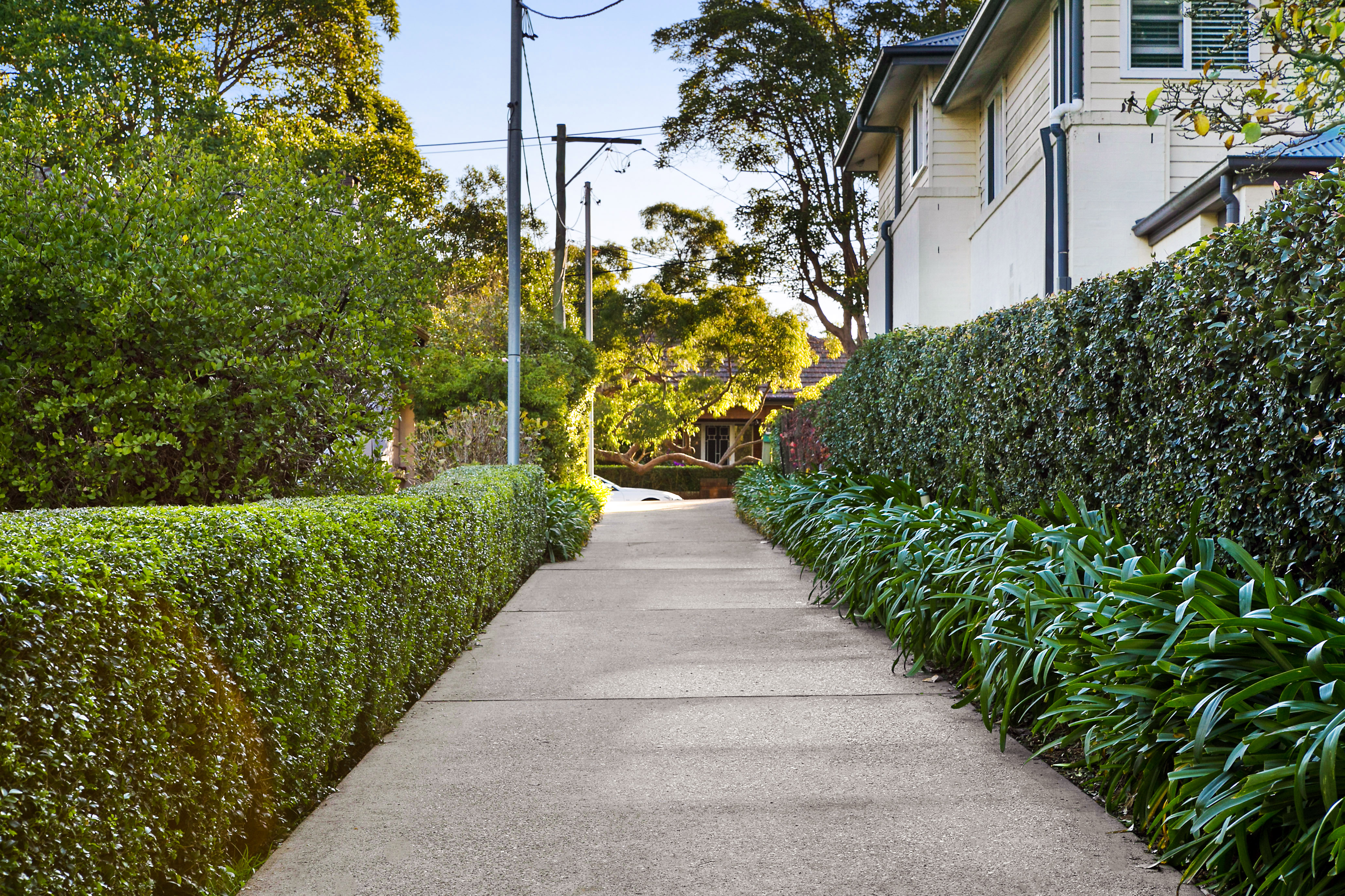 93 Greville Street, Chatswood, NSW, 2067, Chatswood - Thumbnail 7