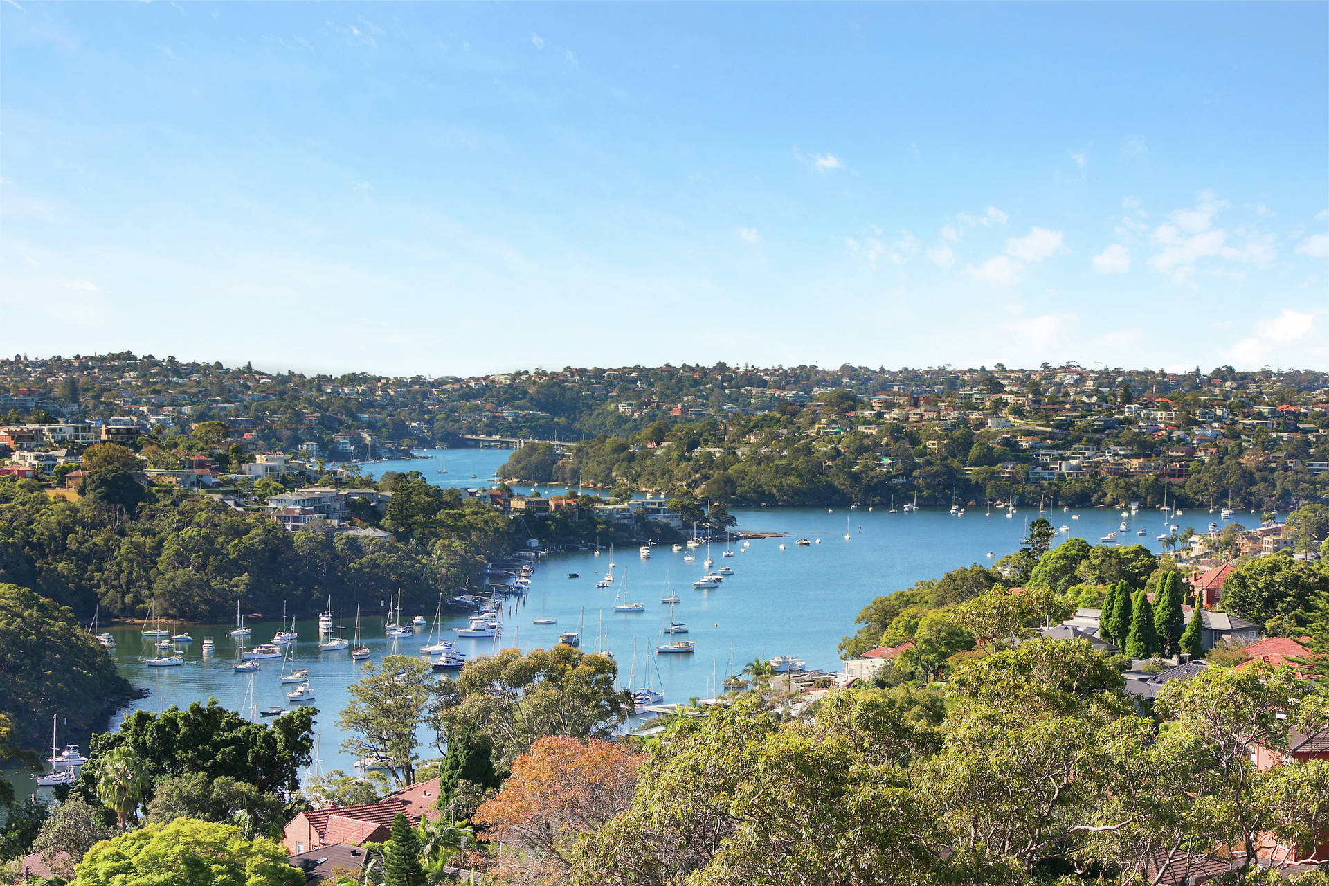 43/55 Carter Street, Cammeray, NSW, 2062, Cammeray - Thumbnail 6