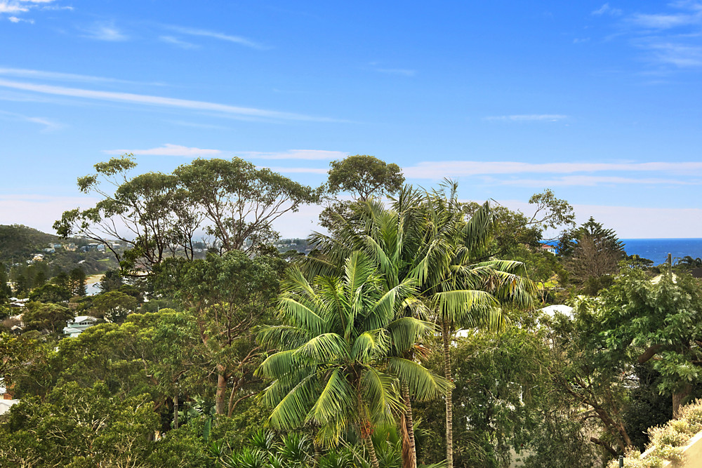 114 Bungan Head Road, Newport, NSW, 2106, Newport - Thumbnail 6