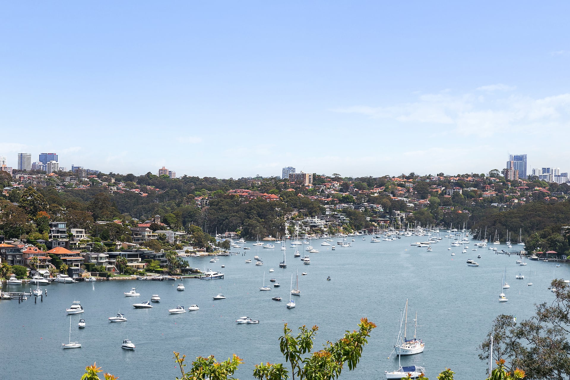 44 Euryalus Street, MOSMAN, NSW, 2088, Mosman - Thumbnail 2