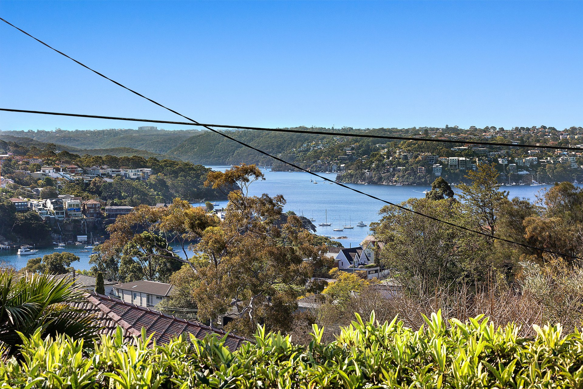 1/1A Fernhurst Avenue, CREMORNE, NSW, 2090, Cremorne - Thumbnail 2