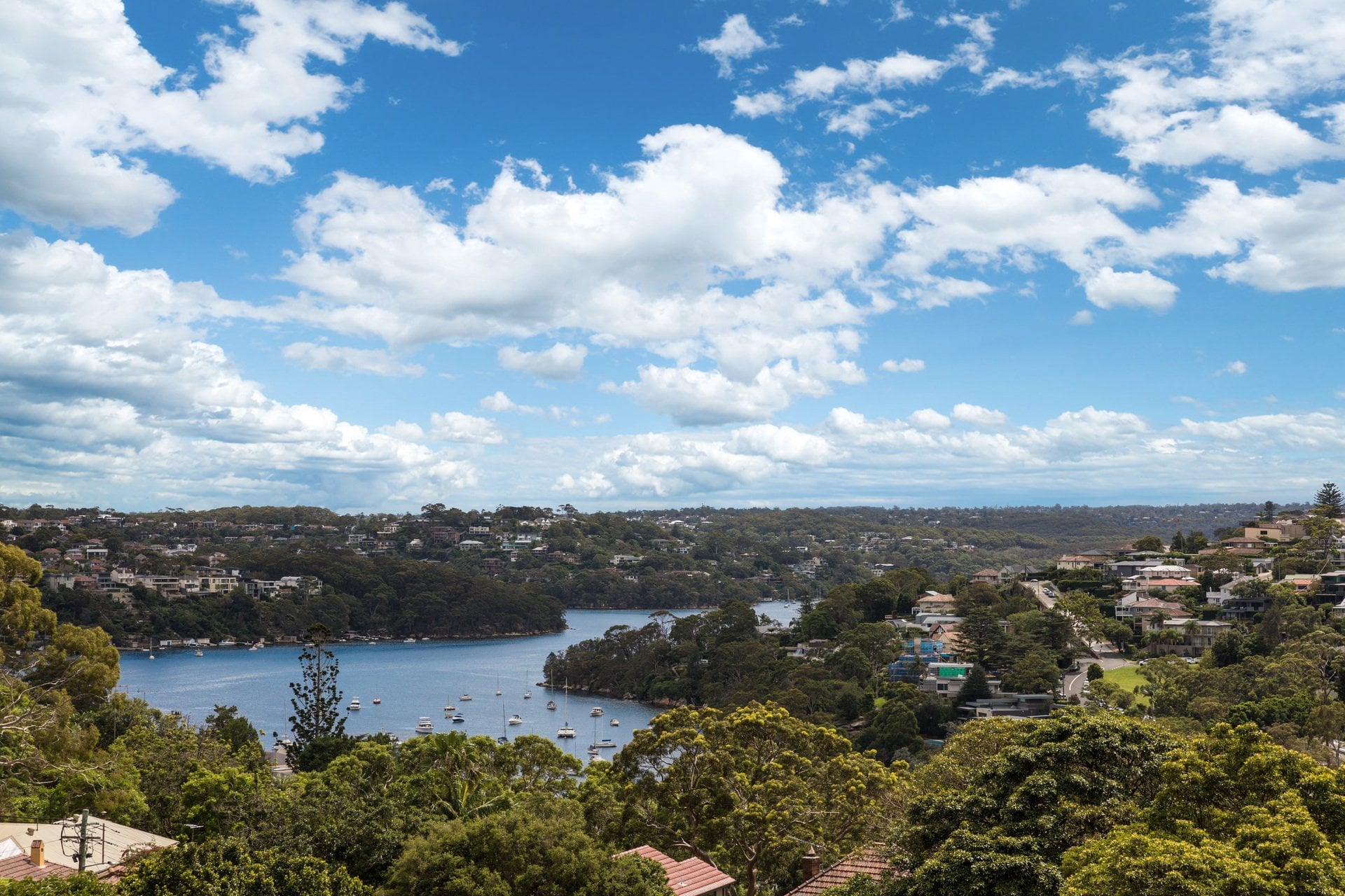 79 Awaba Street, MOSMAN, NSW, 2088, Mosman - Thumbnail 4