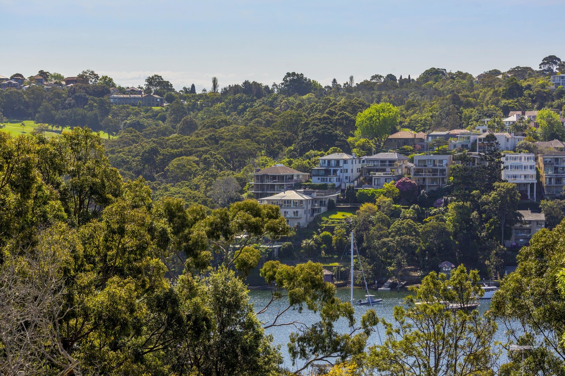 31 Ryries Parade, CREMORNE, NSW, 2090, Cremorne - Thumbnail 7