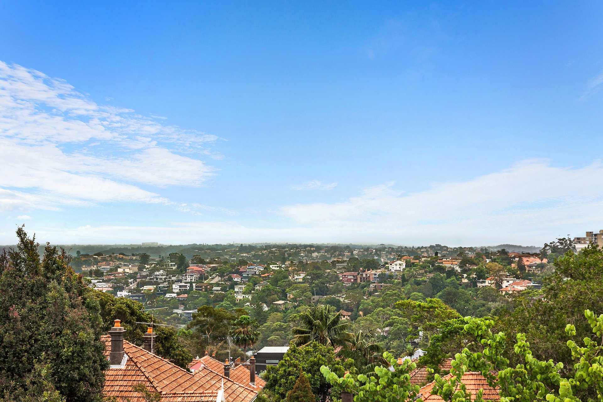 54 Dalton Road, MOSMAN, NSW, 2088, Mosman - Thumbnail 8