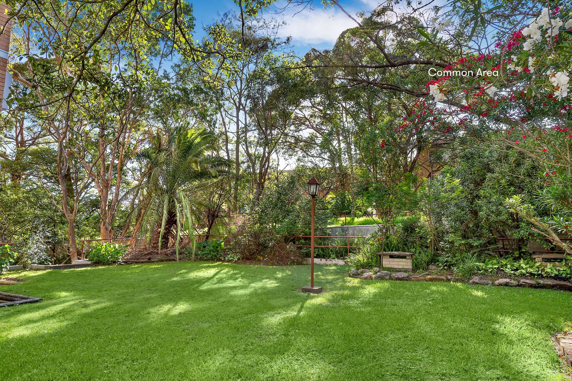 1/243 Ernest Street, CAMMERAY, NSW, 2062, Cammeray - Thumbnail 6
