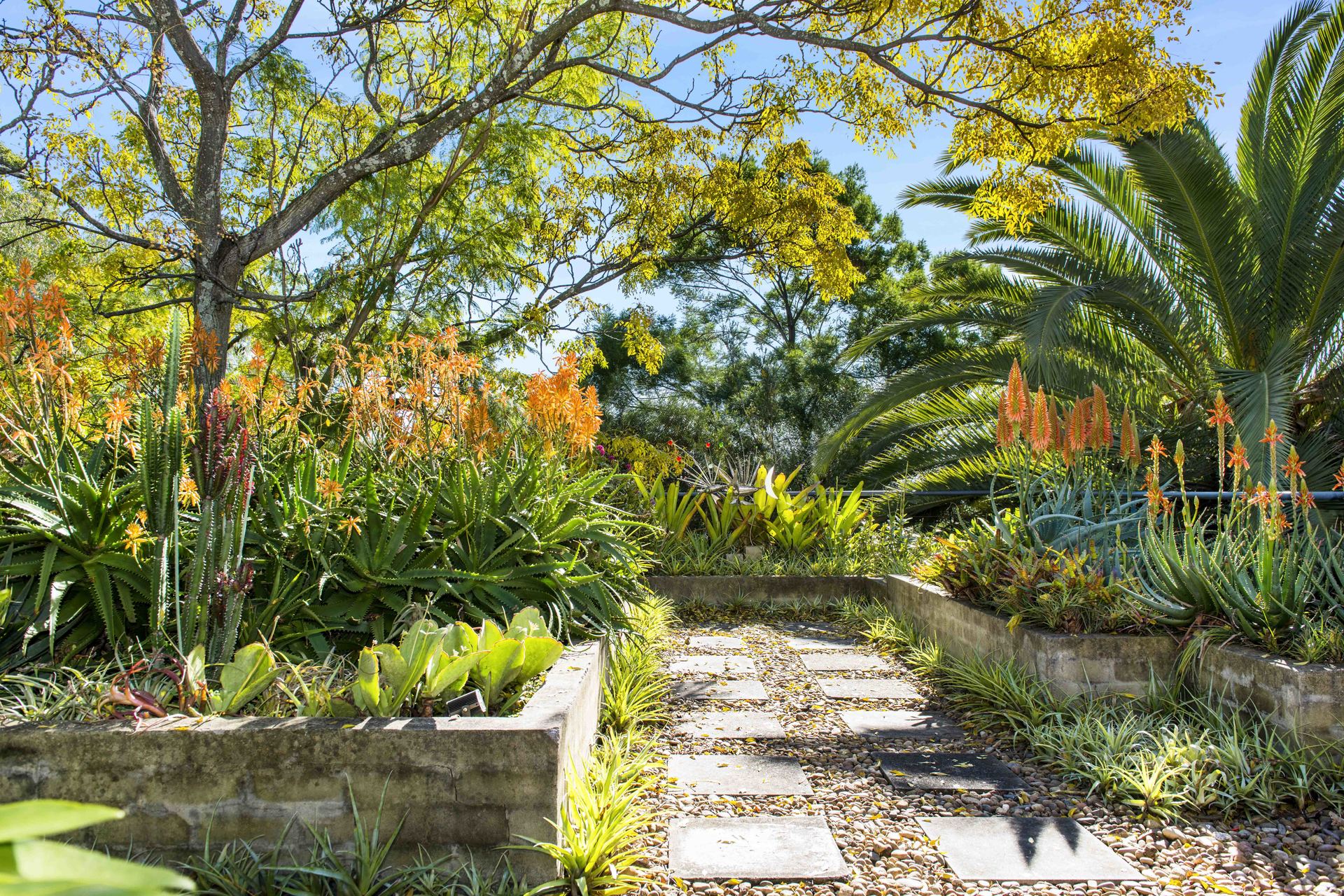6/58 Gerard Street, Cremorne, NSW, 2090, Cremorne - Thumbnail 7