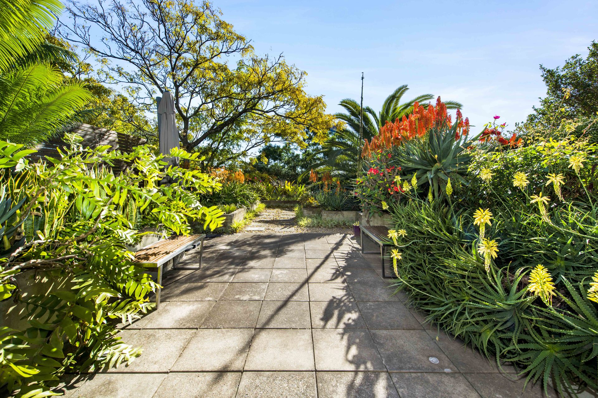 6/58 Gerard Street, Cremorne, NSW, 2090, Cremorne - Thumbnail 8