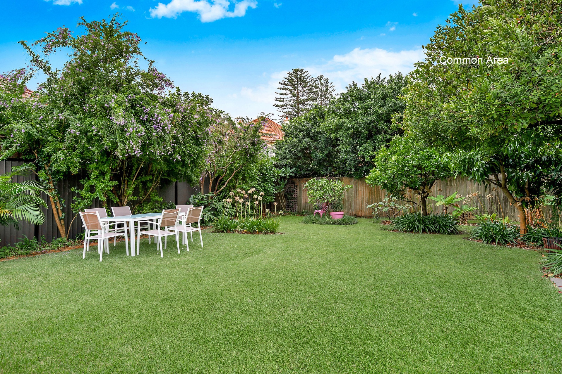 1/7 Belmont Road, Mosman, NSW, 2088, Mosman - Thumbnail 6