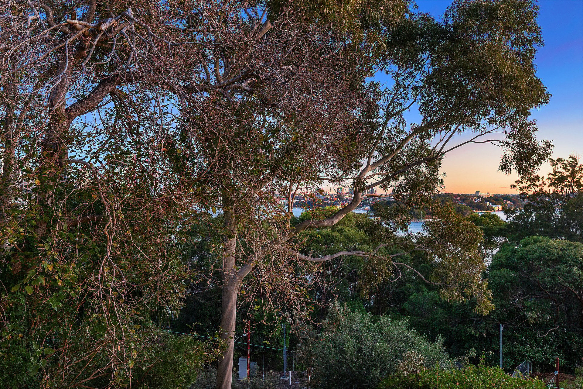 3/20 Queens Avenue, MCMAHONS POINT, NSW, 2060, McMahons Point - Thumbnail 2