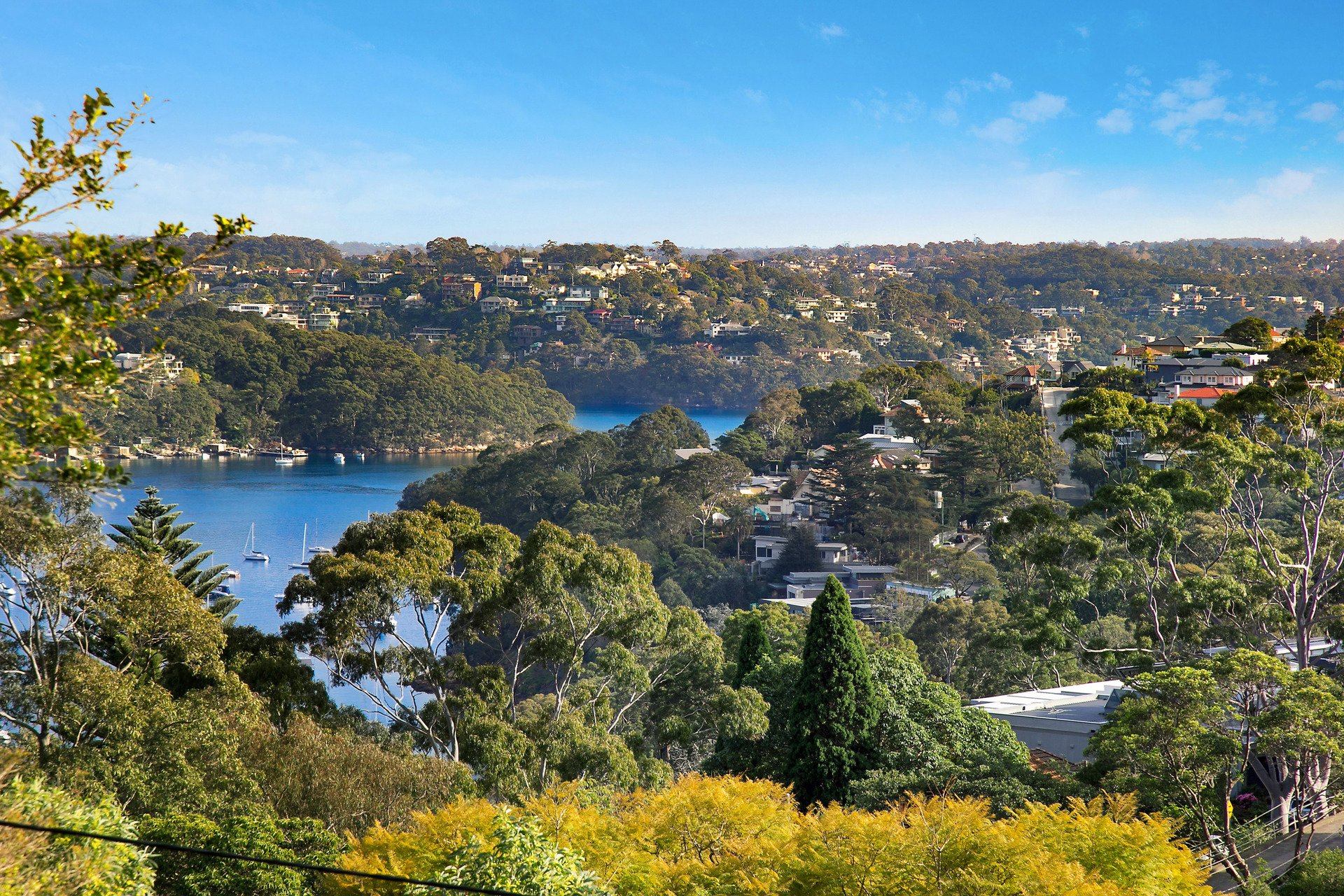 2/20 Killarney Street, MOSMAN, NSW, 2088, Mosman - Thumbnail 2