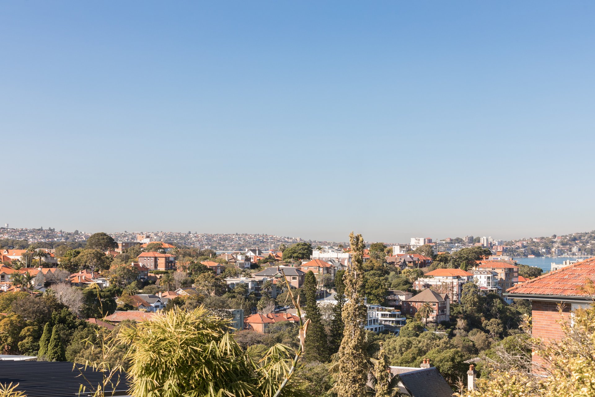 1/55A Wycombe Road, NEUTRAL BAY, NSW, 2089, Neutral Bay - Thumbnail 5