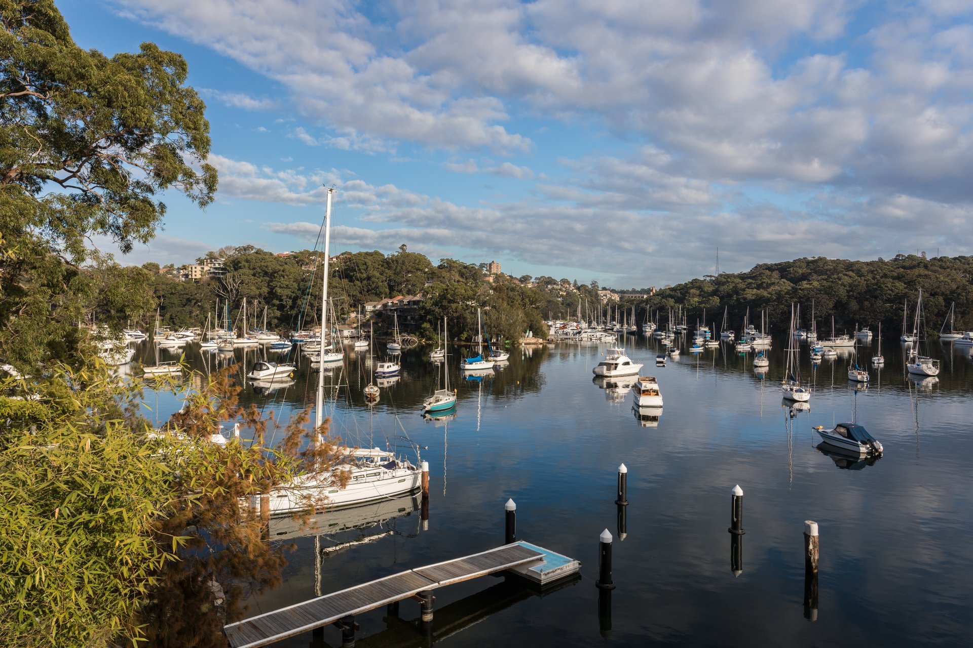 20A Wonga Road, CREMORNE, NSW, 2090, Cremorne - Thumbnail 3