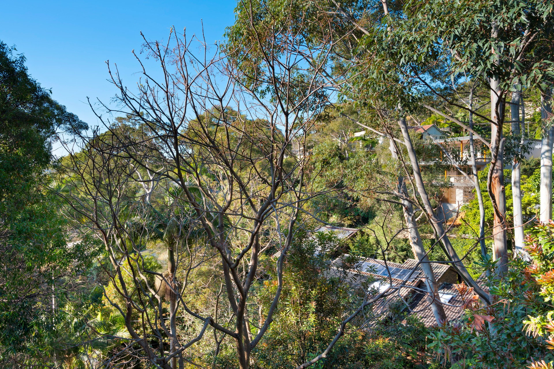 9 Windward Avenue, MOSMAN, NSW, 2088, Mosman - Thumbnail 4