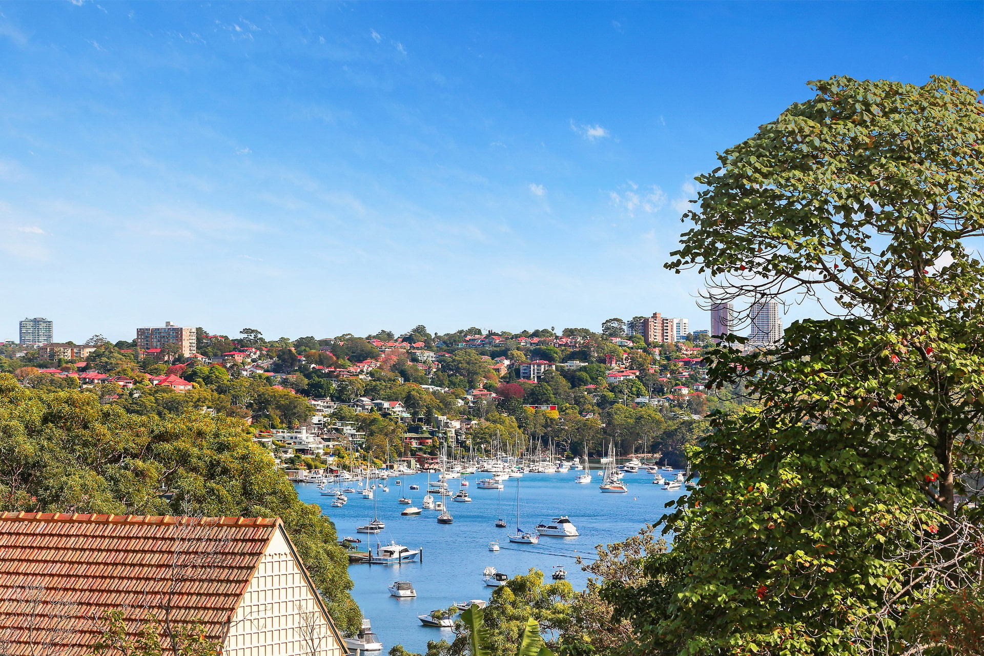 59 Bay Street, MOSMAN, NSW, 2088, Mosman - Thumbnail 5