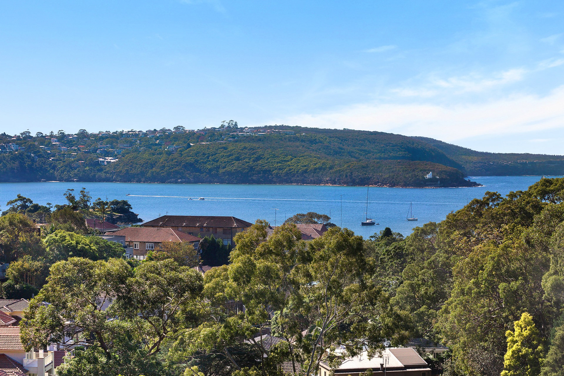 173 Raglan Street, MOSMAN, NSW, 2088, Mosman - Thumbnail 2