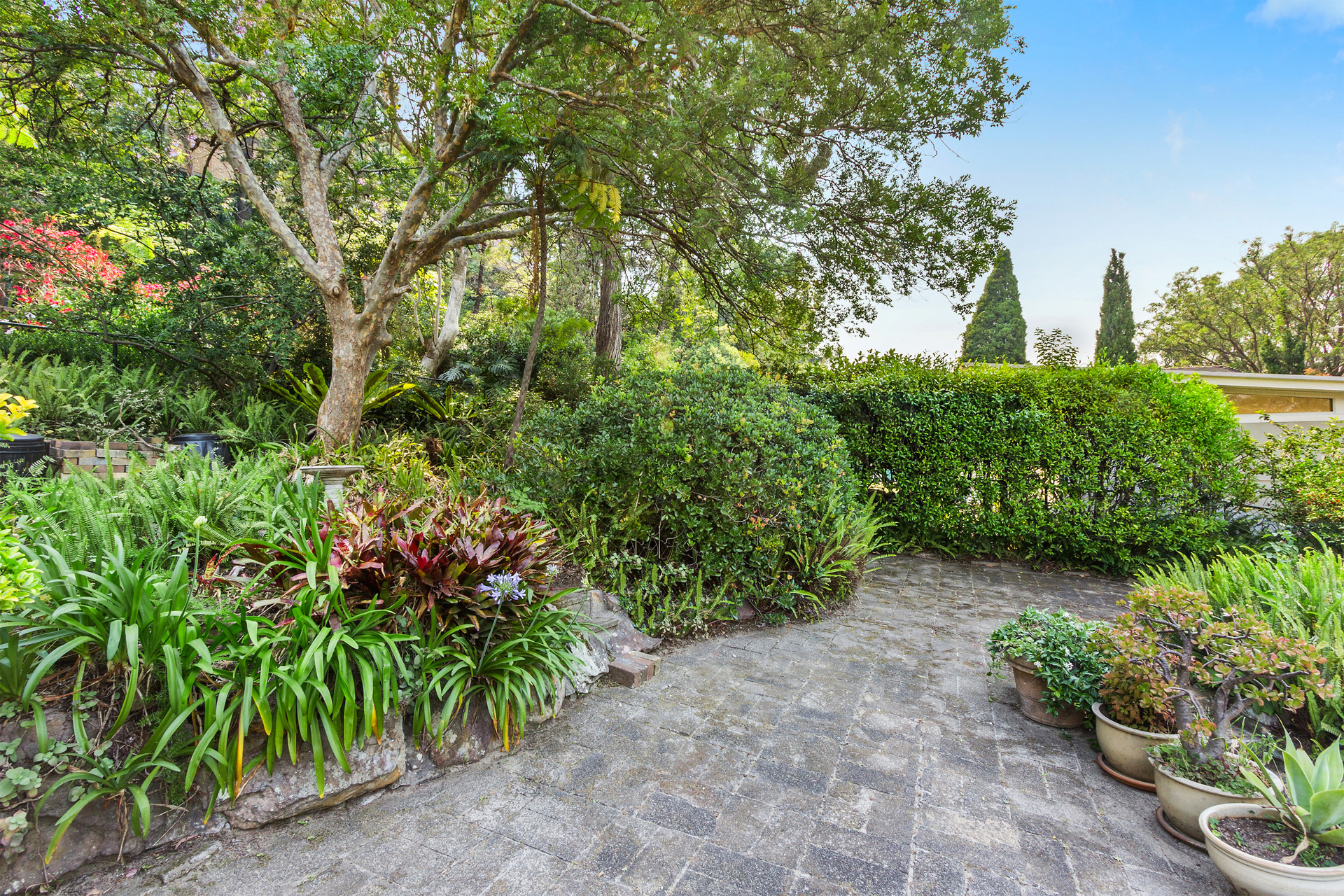 58 Rembrandt Drive, MIDDLE COVE, NSW, 2068, Middle Cove - Thumbnail 5