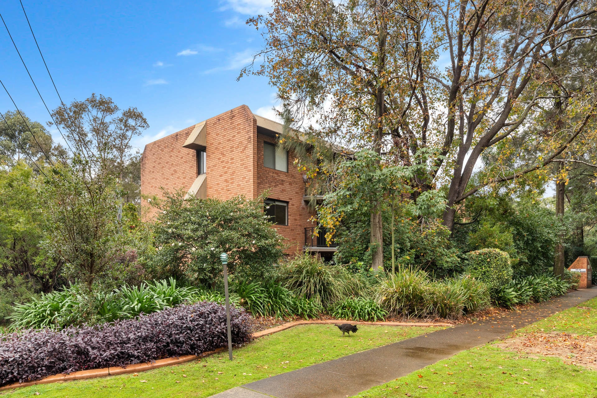 19/10-16 Parkes Road, ARTARMON, NSW, 2064, Artarmon - Thumbnail 5