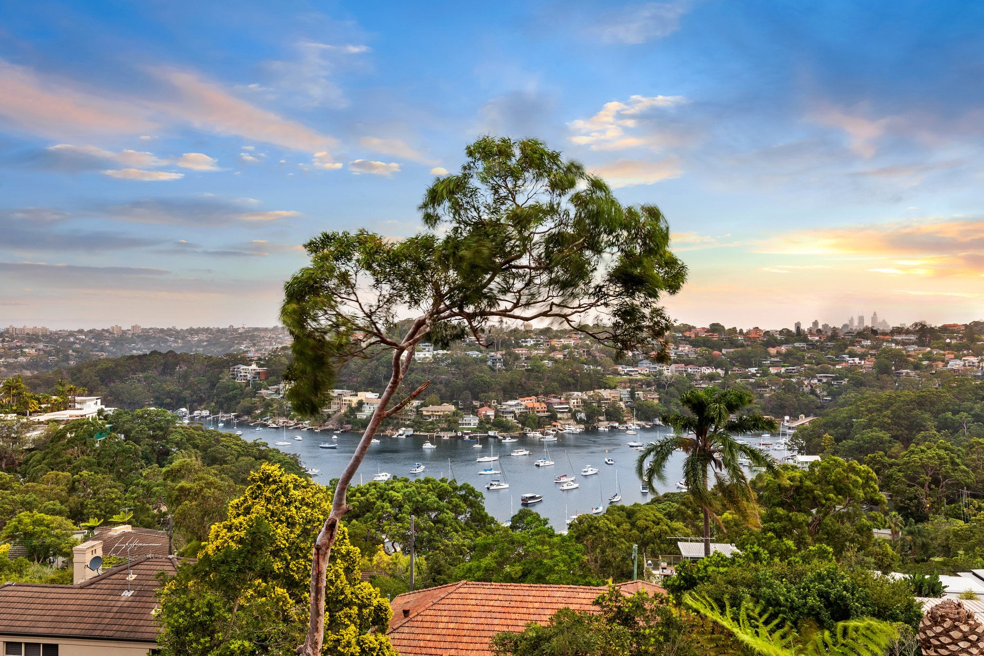 220 Edinburgh Road, Castlecrag, NSW, 2068, Castlecrag - Thumbnail 4
