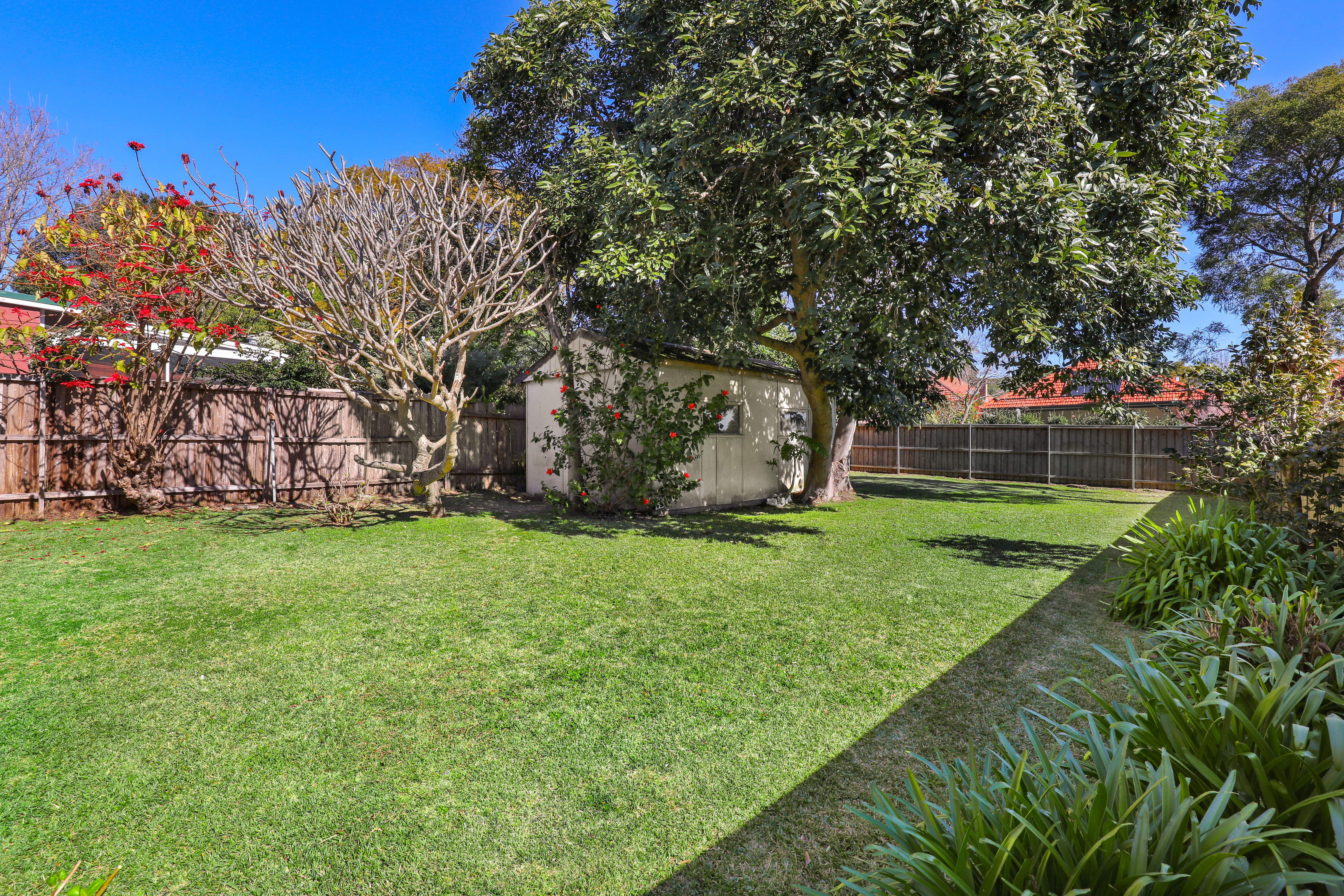 24 Fourth Avenue, WILLOUGHBY, NSW, 2068, Willoughby East - Thumbnail 5