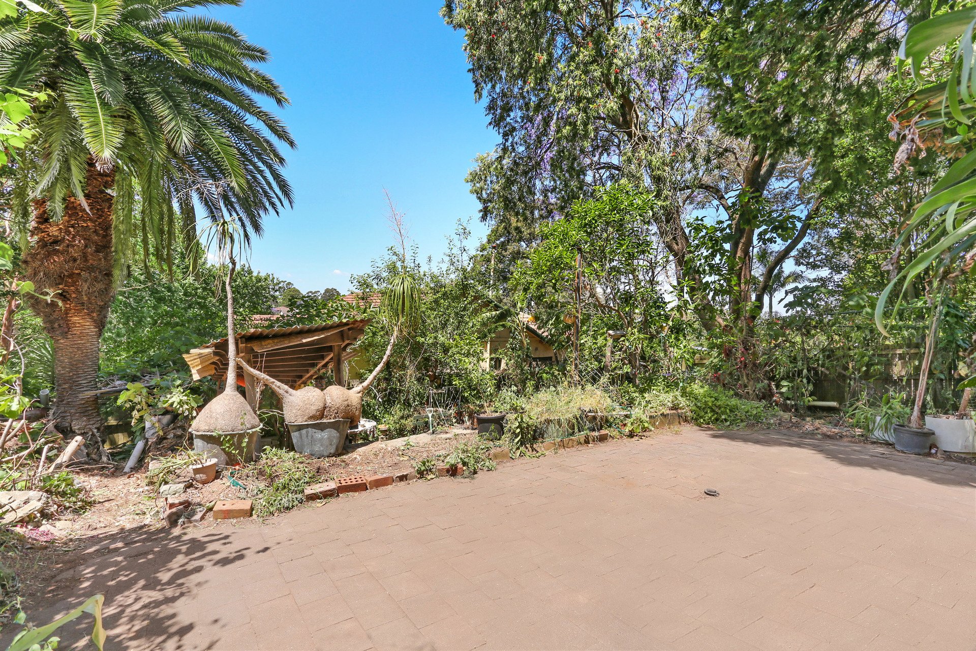 14 Fullers Road, CHATSWOOD, NSW, 2067, Chatswood - Thumbnail 4