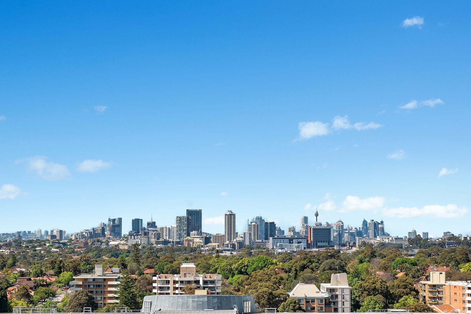 1703/2B Help Street, CHATSWOOD, NSW, 2067, Chatswood - Thumbnail 7