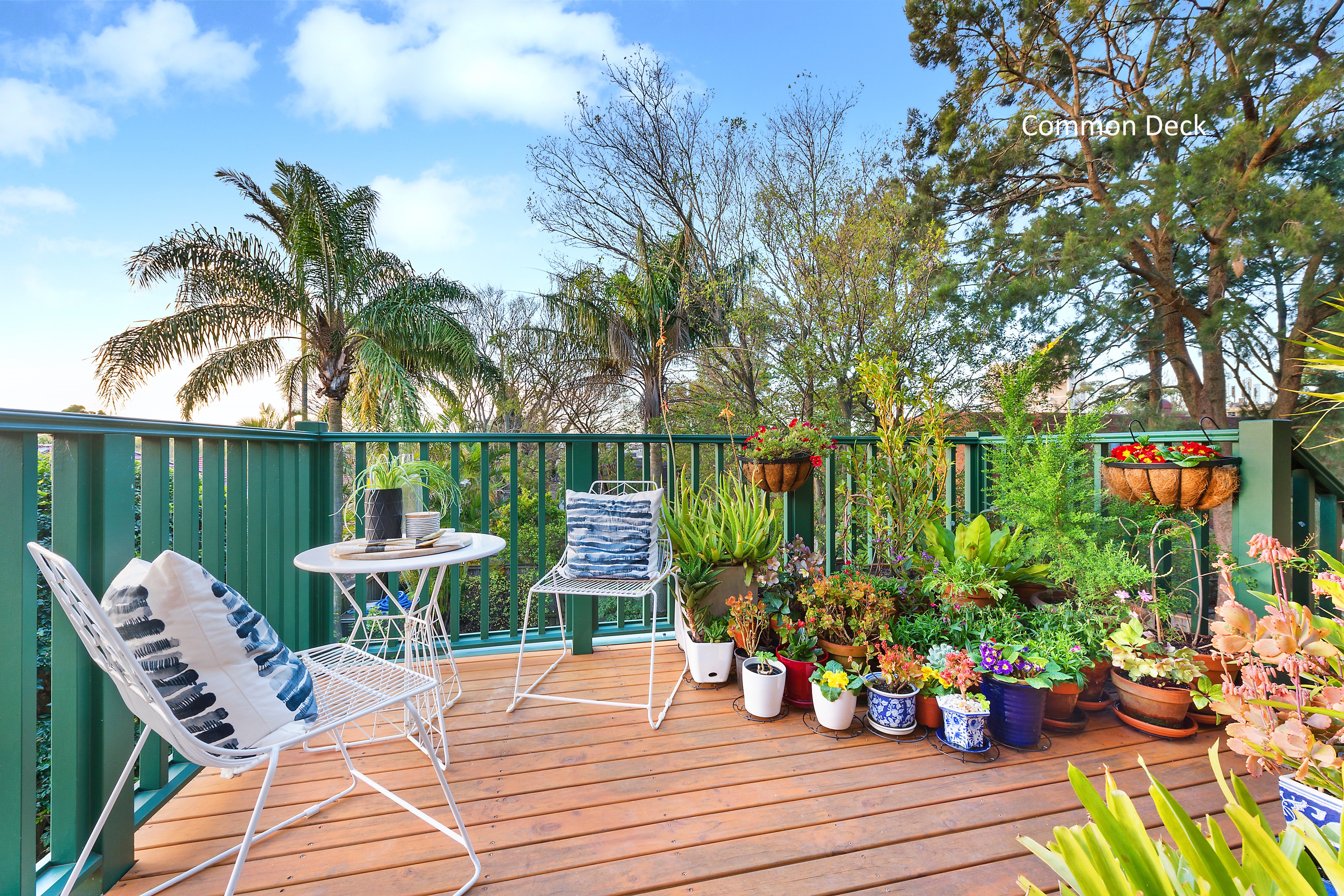 12A/2 Amherst Street, Cammeray, NSW, 2062, Cammeray - Thumbnail 6