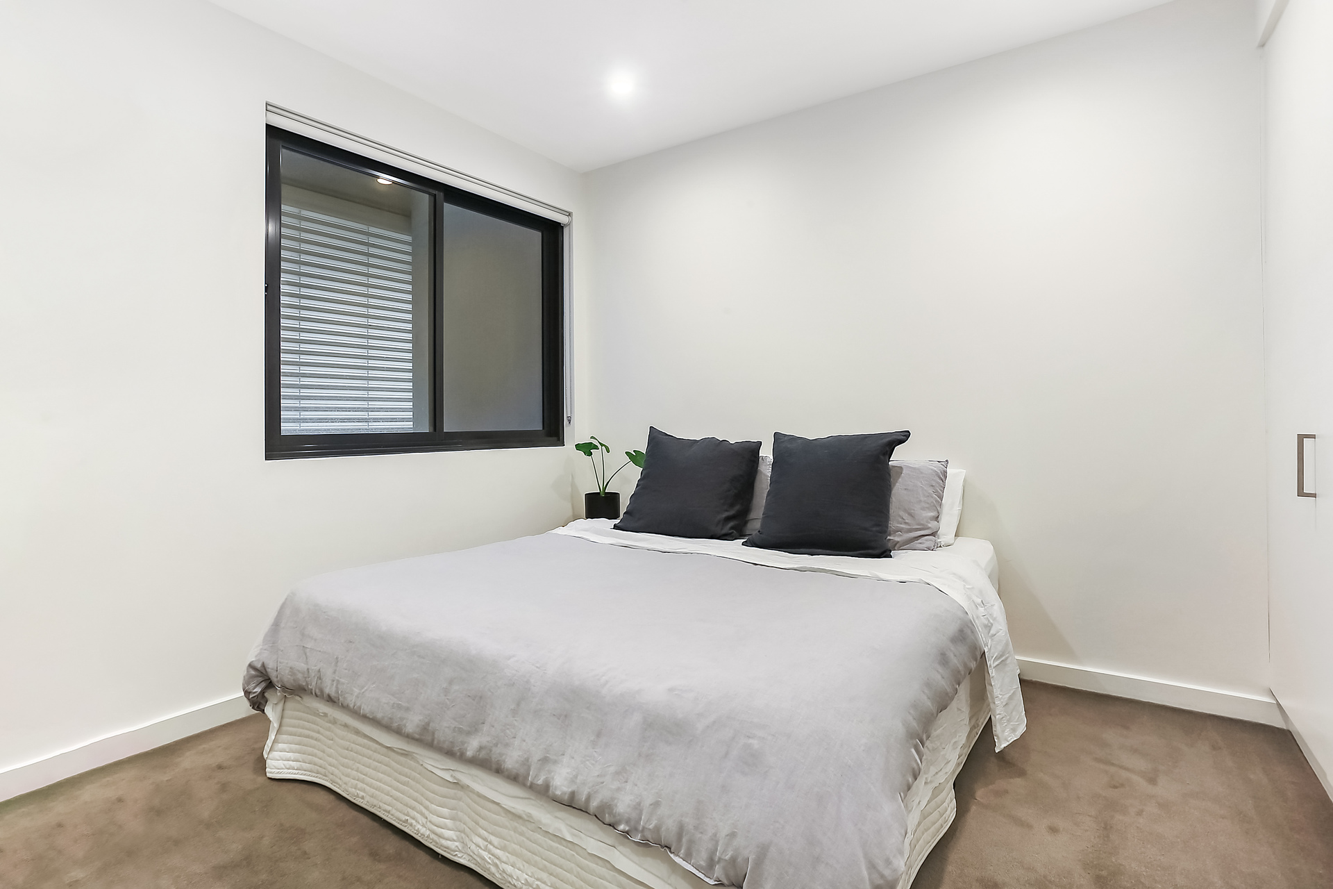 202/370 New Canterbury Road, Dulwich Hill, NSW, 2203, Dulwich Hill - Thumbnail 4