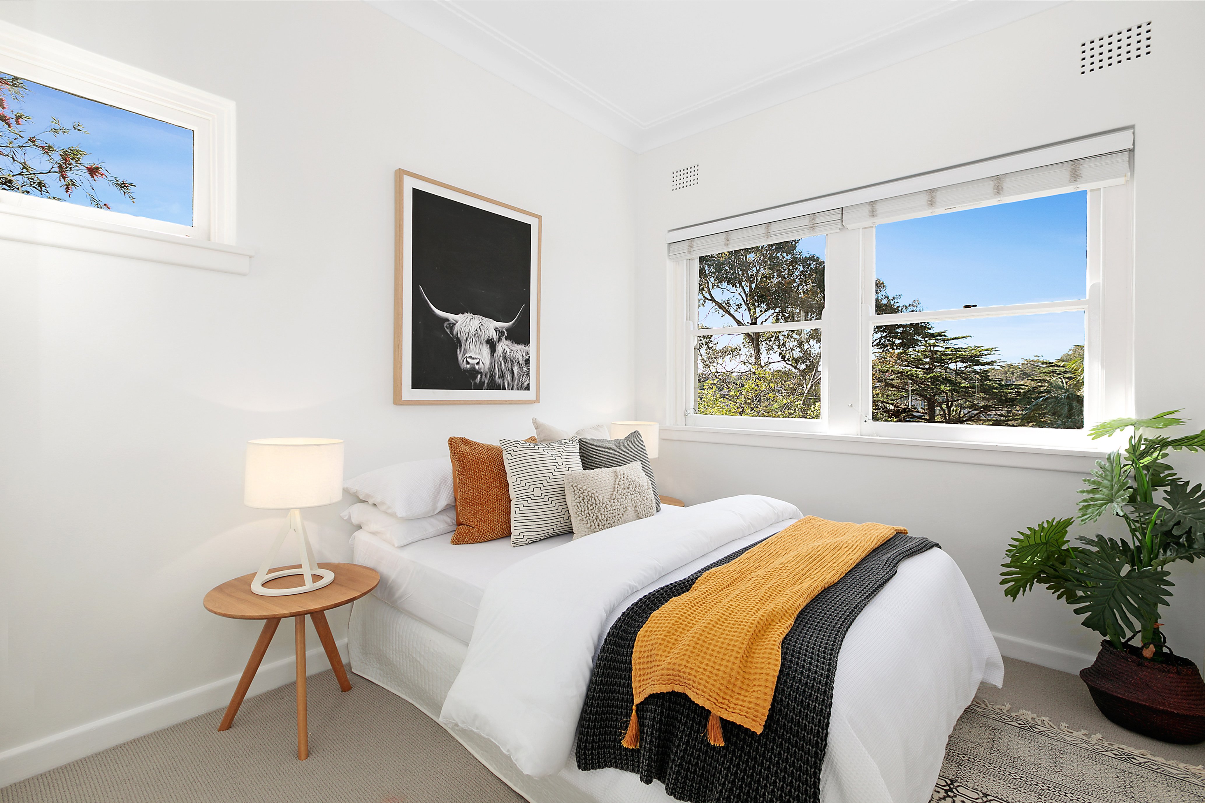 5/37 Pine Street, Cammeray, NSW, 2062, Cammeray - Thumbnail 5