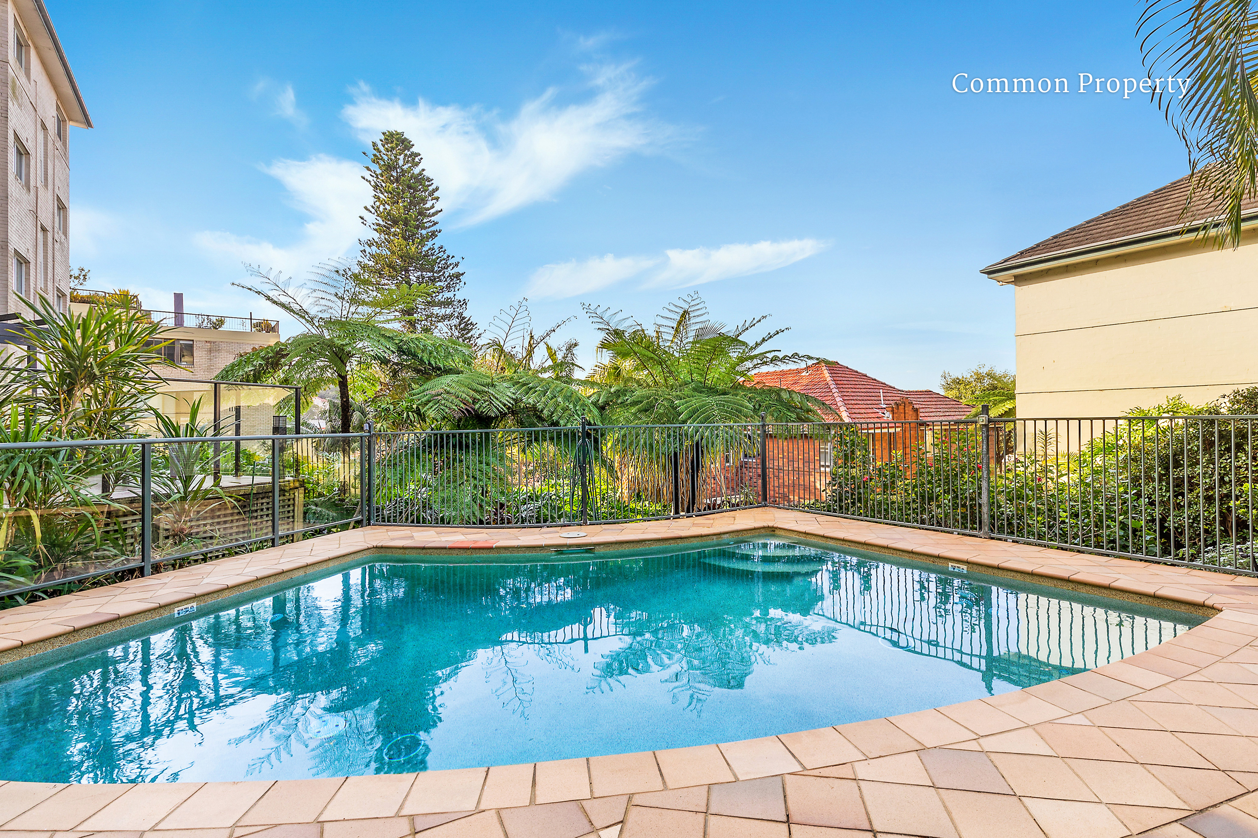 502/433 Alfred Street North, Neutral Bay, NSW, 2089, Neutral Bay - Thumbnail 5