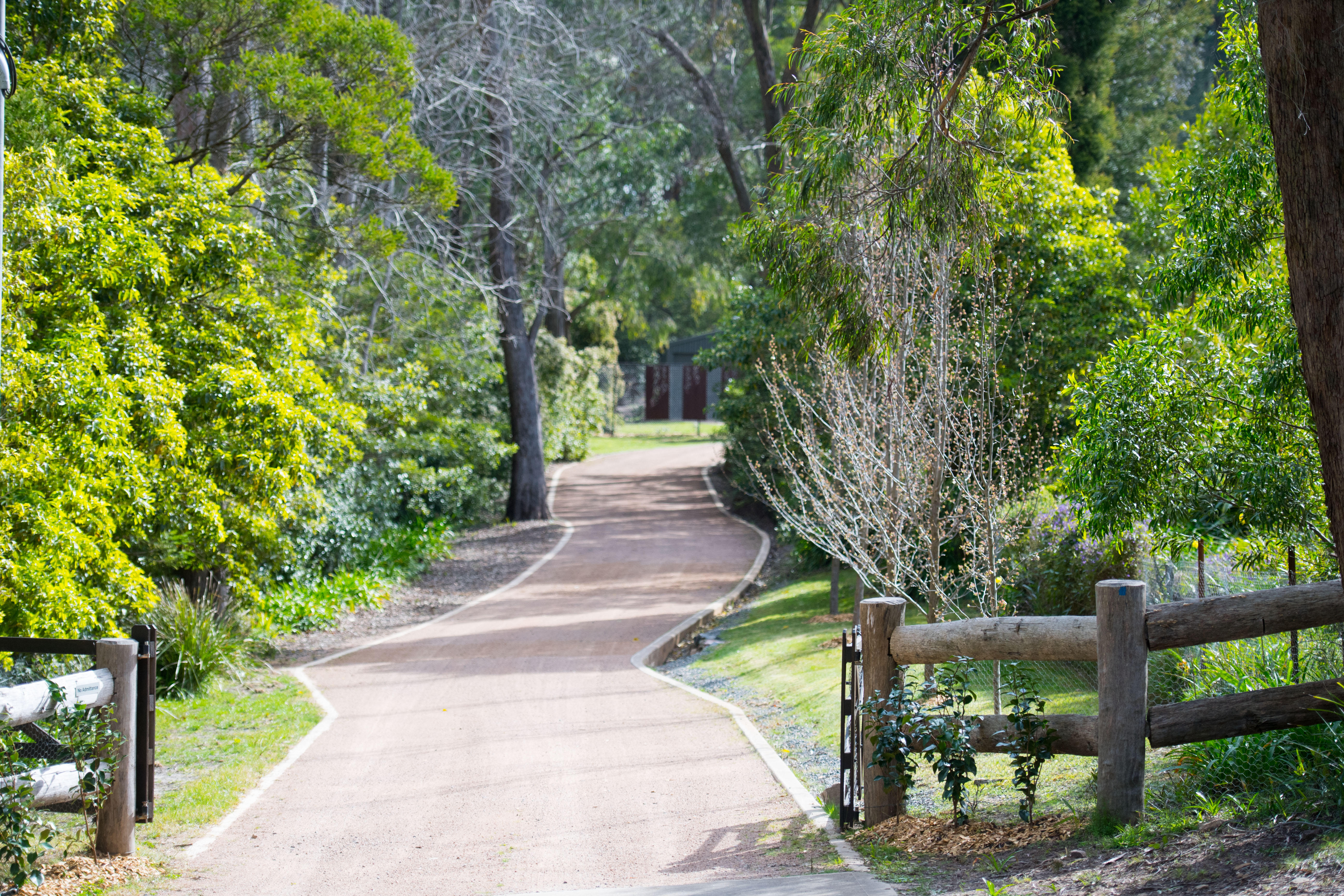 Parkwood 8 Earl Street, Bowral, NSW, 2576, Bowral - Thumbnail 4