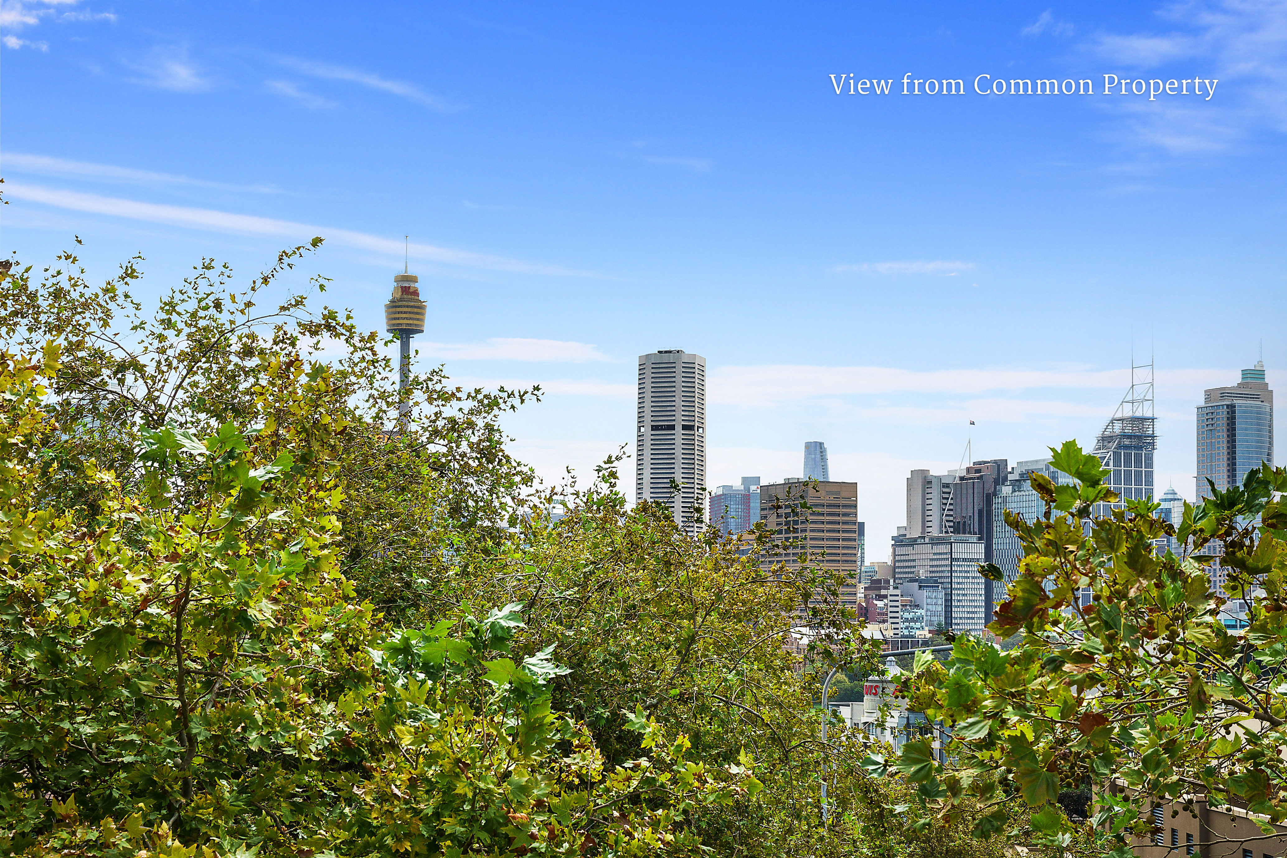 5/2 Royston Street, Darlinghurst, NSW, 2010, Darlinghurst - Thumbnail 2