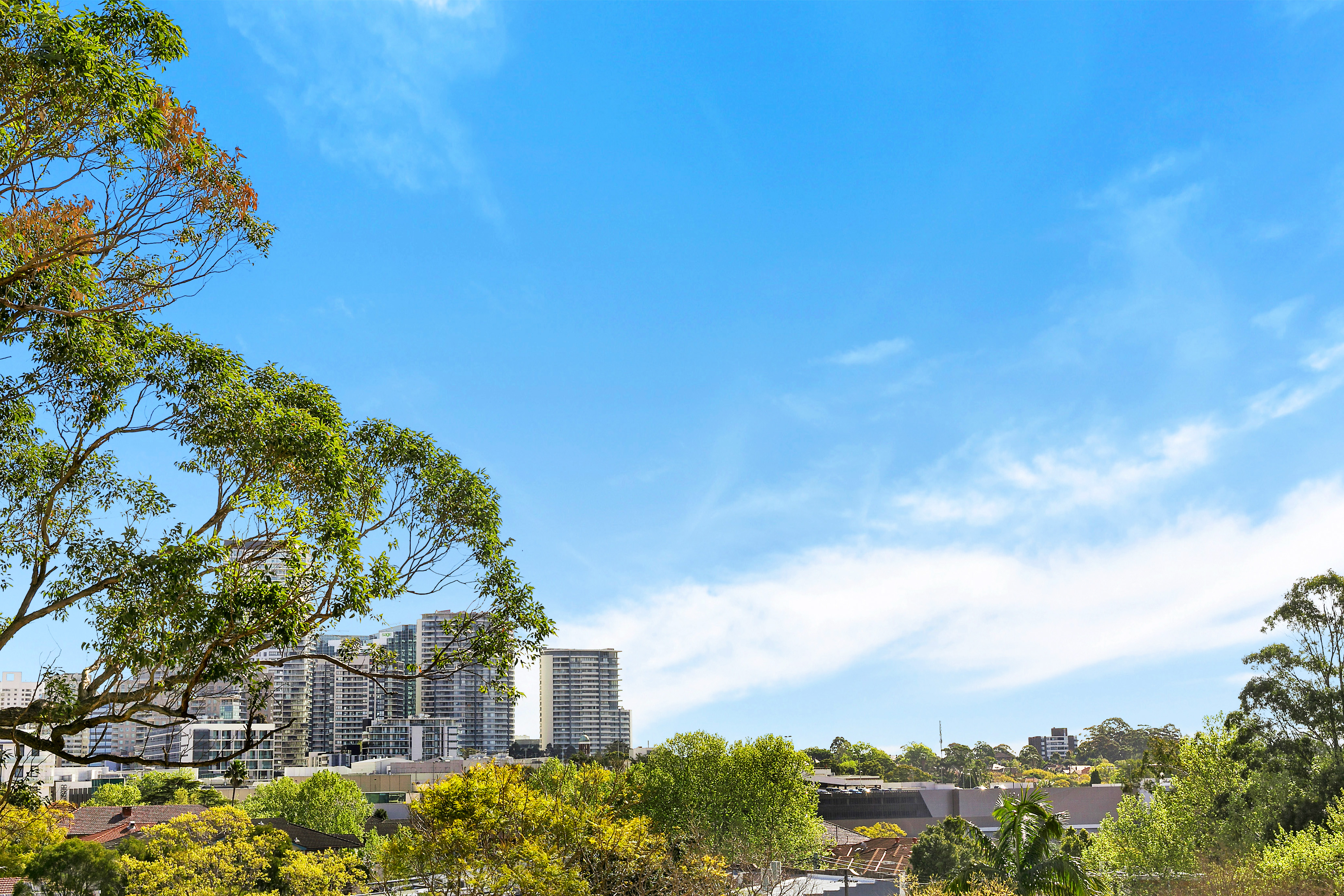 9/17 Septimus Street, Chatswood, NSW, 2067, Chatswood - Thumbnail 2