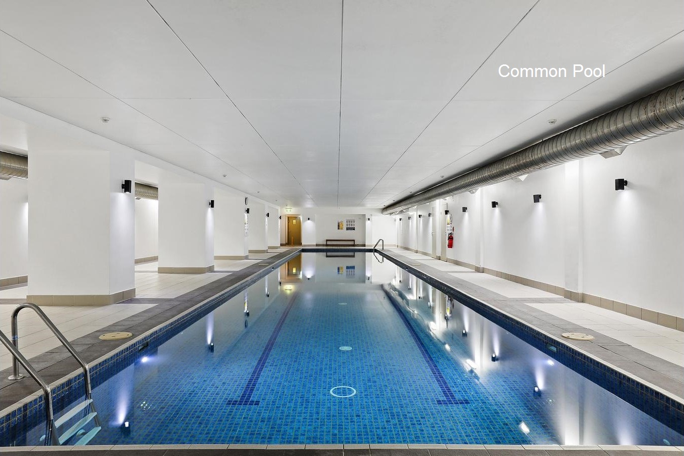 9/17 Septimus Street, Chatswood, NSW, 2067, Chatswood - Thumbnail 8